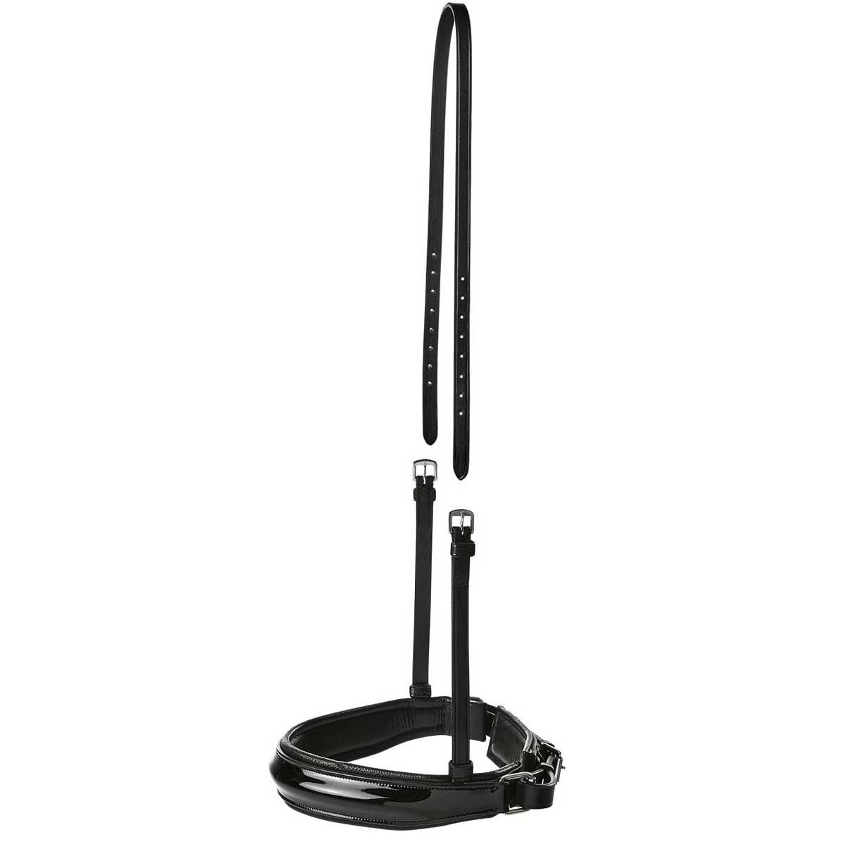 BUSSE Caveson milazzo-canter