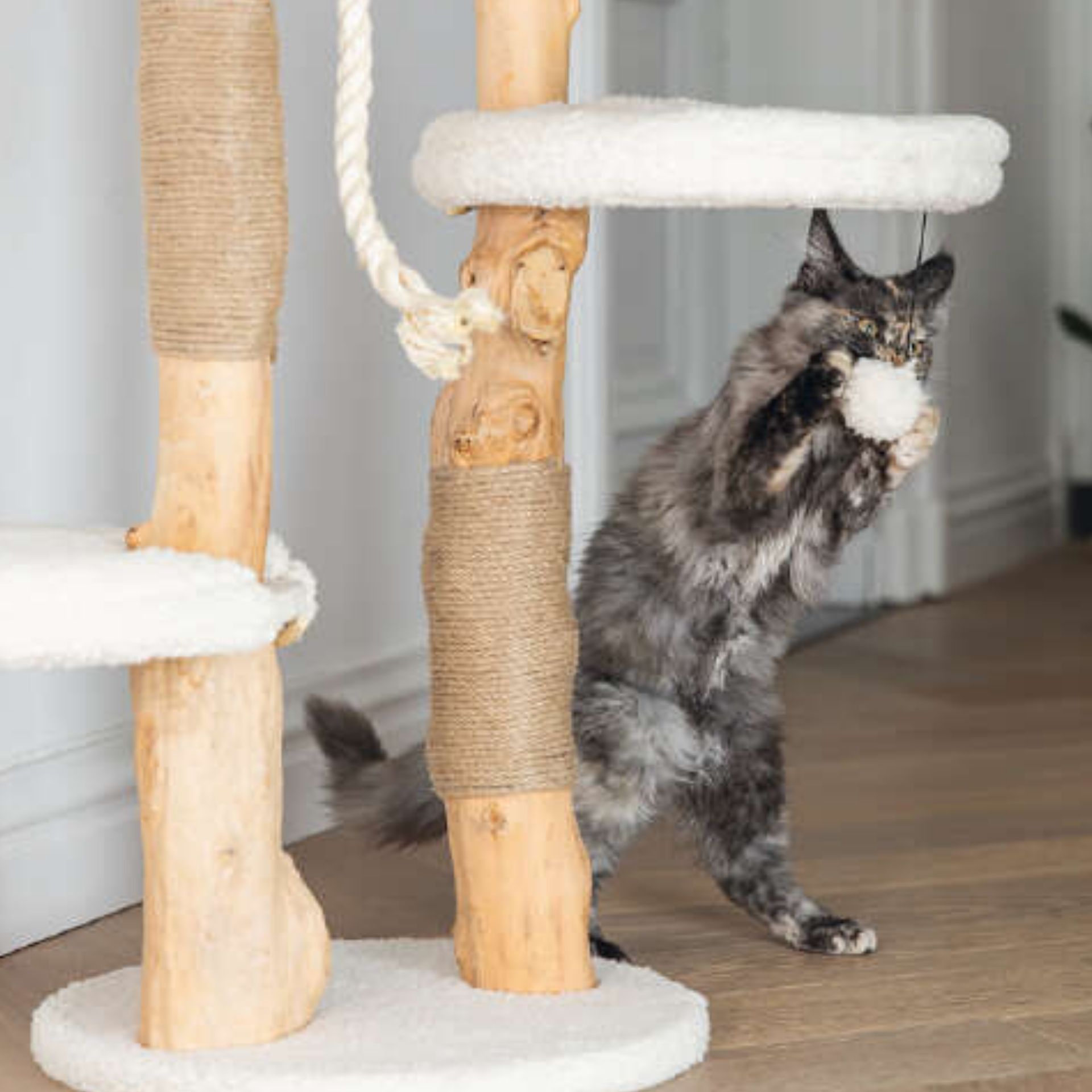 Arbre à chat en bois, Designed by Lotte Vanja 40x40x87,5 cm, en utilisation