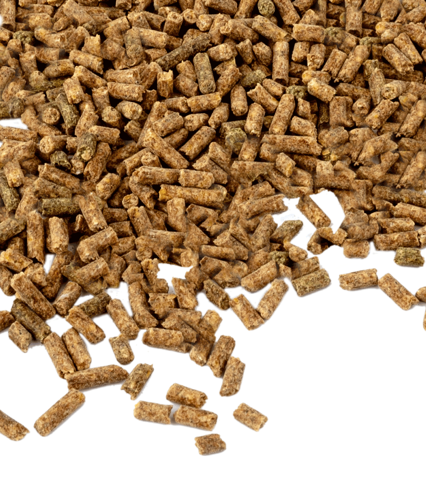 Waldhausen Vitamin E Forte Pellets, für Leistung & Belastbarkeit, 1 kg, Detailansicht, Material