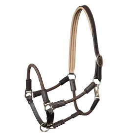 Lederhalfter dunkelbraun mit gepolstertem Nasenriemen in Beige, silberne Schnallen