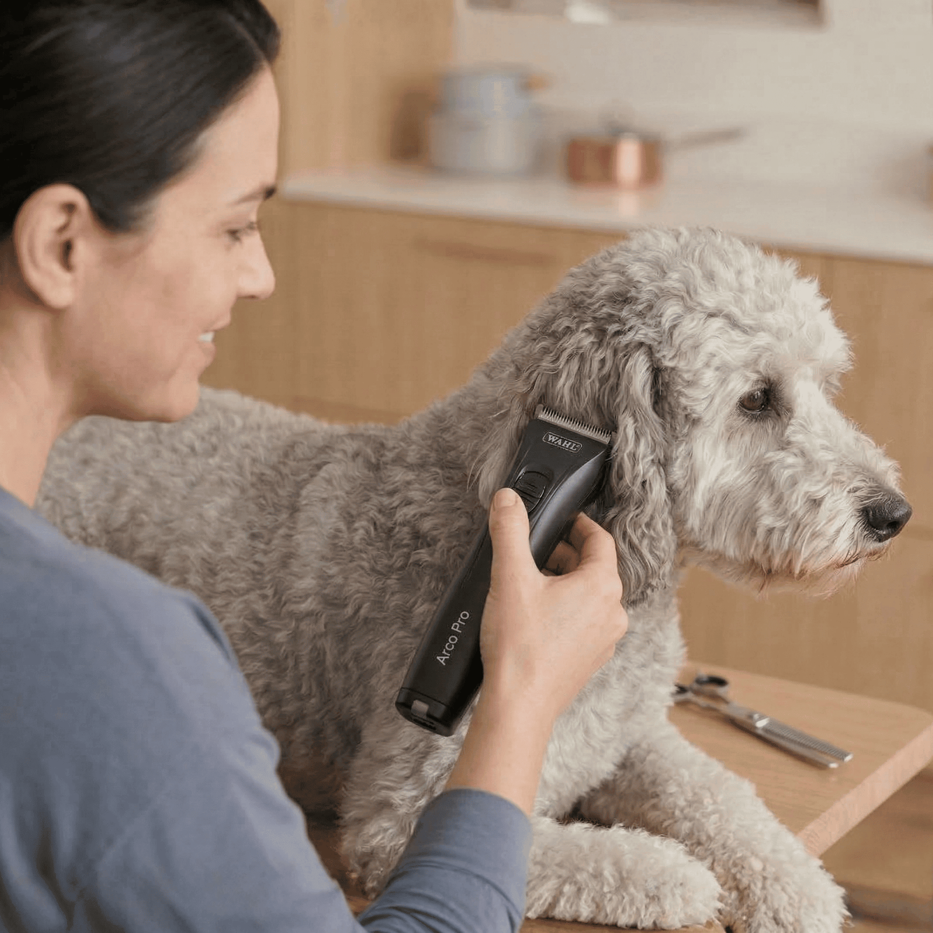 pet grooming, dog grooming, trimmer, cordless, poodle
