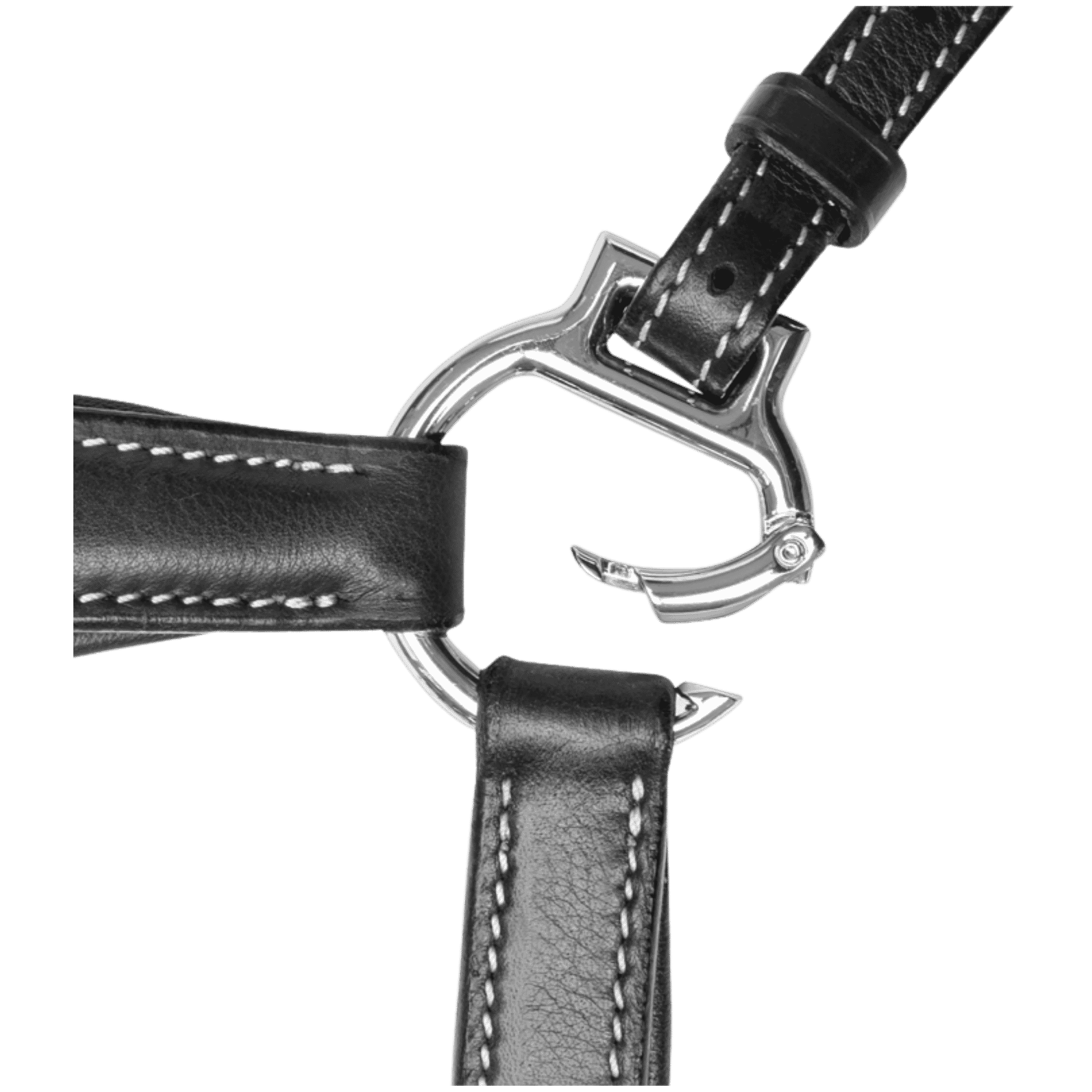 leather, strap, stitching, metal buckle, ring