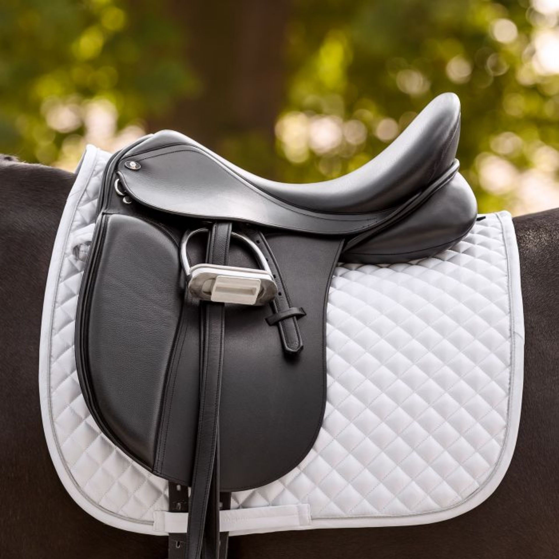 saddle, equestrian, stirrup, leather, saddle pad