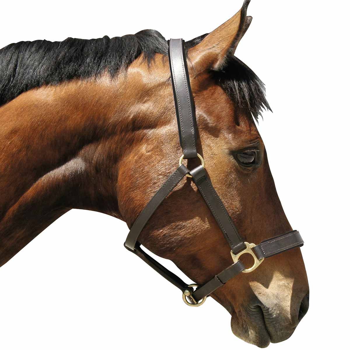 Covalliero Eco bőr lókötőfék, állítható, sárgaréz csatokkal, barna, XFull