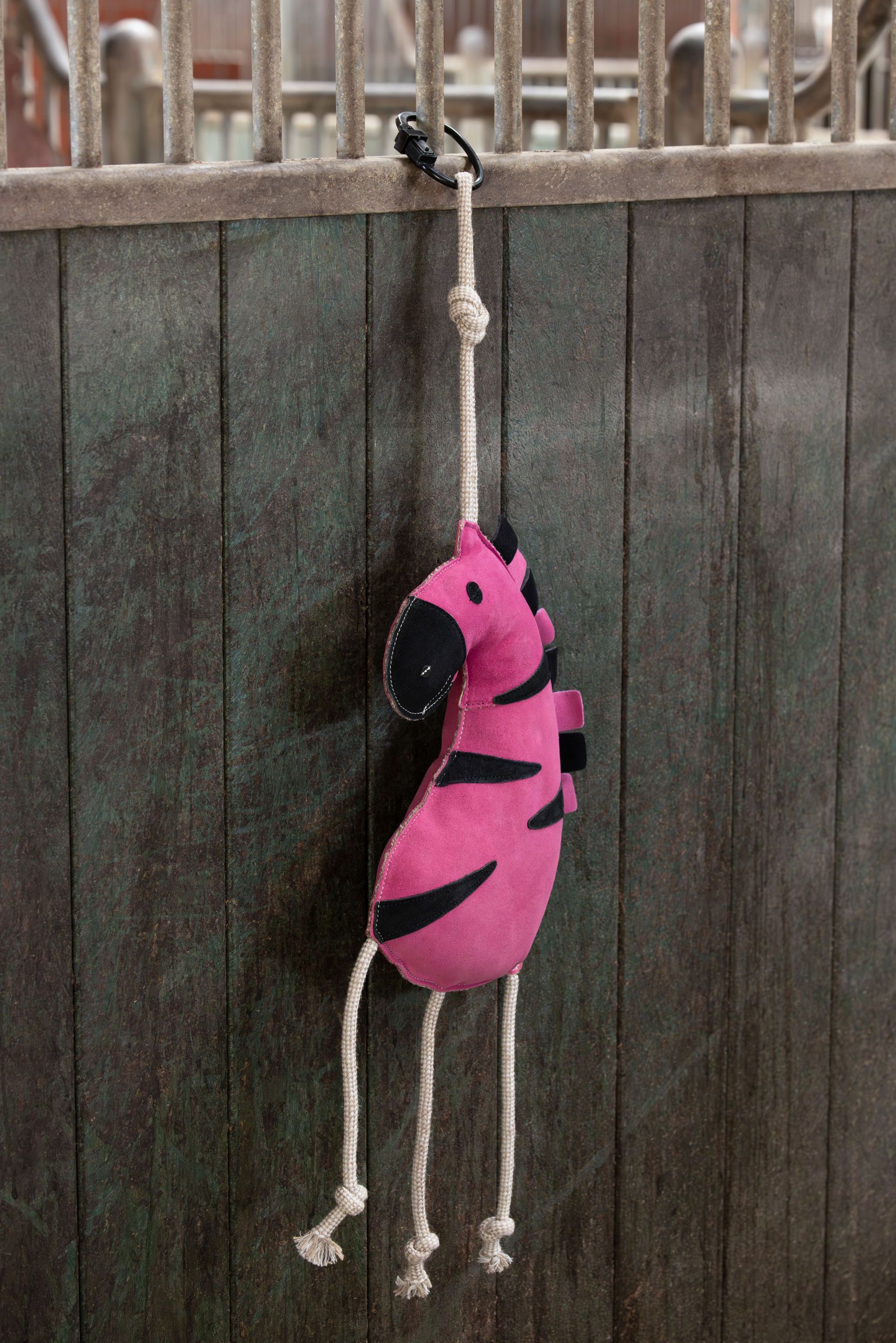 toy, plush, pink, zebra, rope