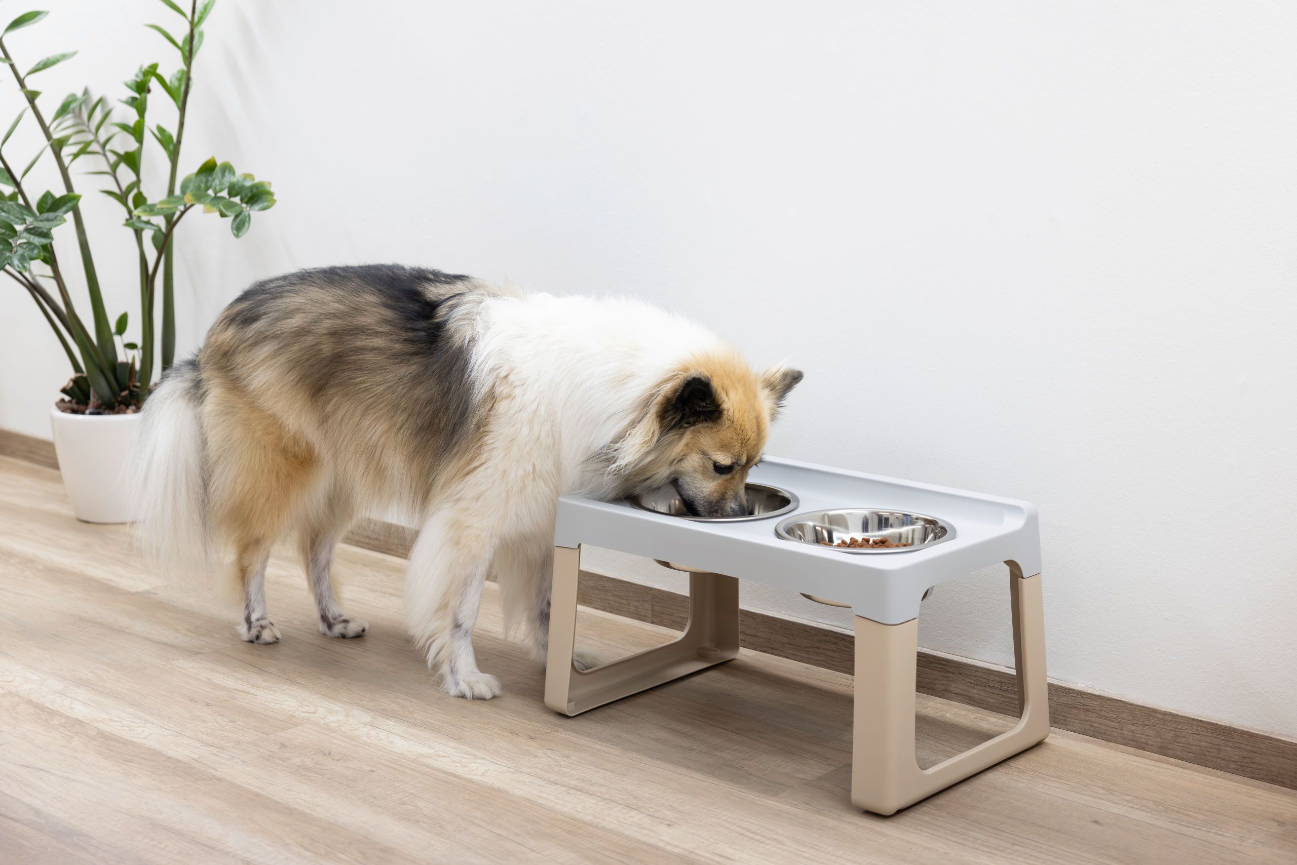 Kerbl Pet Lifter Hundenapf erhöht, 2 Edelstahlnäpfe, grau-taupe