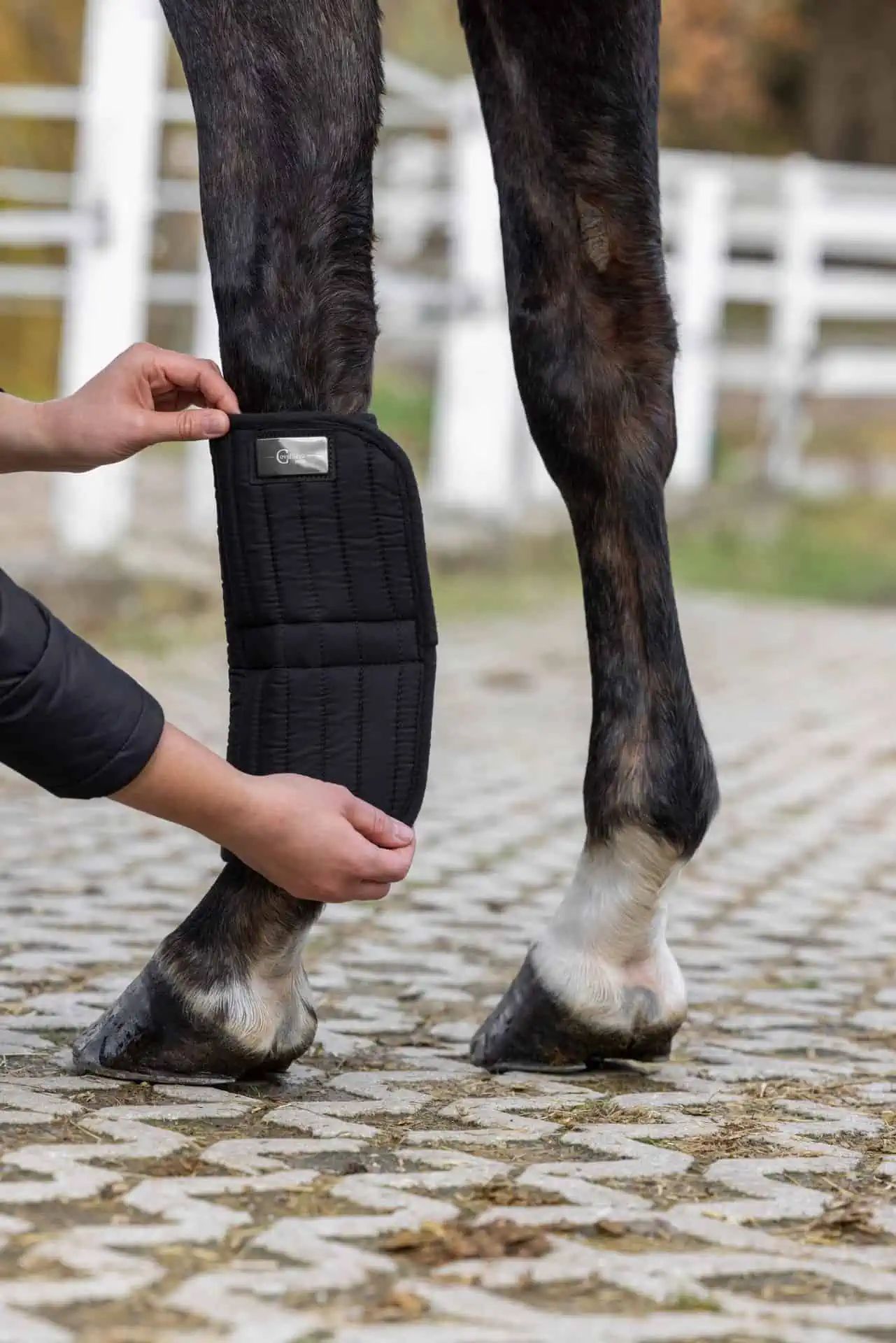 Sous-bandages Covalliero CovallieroTherm, noir, paire, en utilisation, jambe