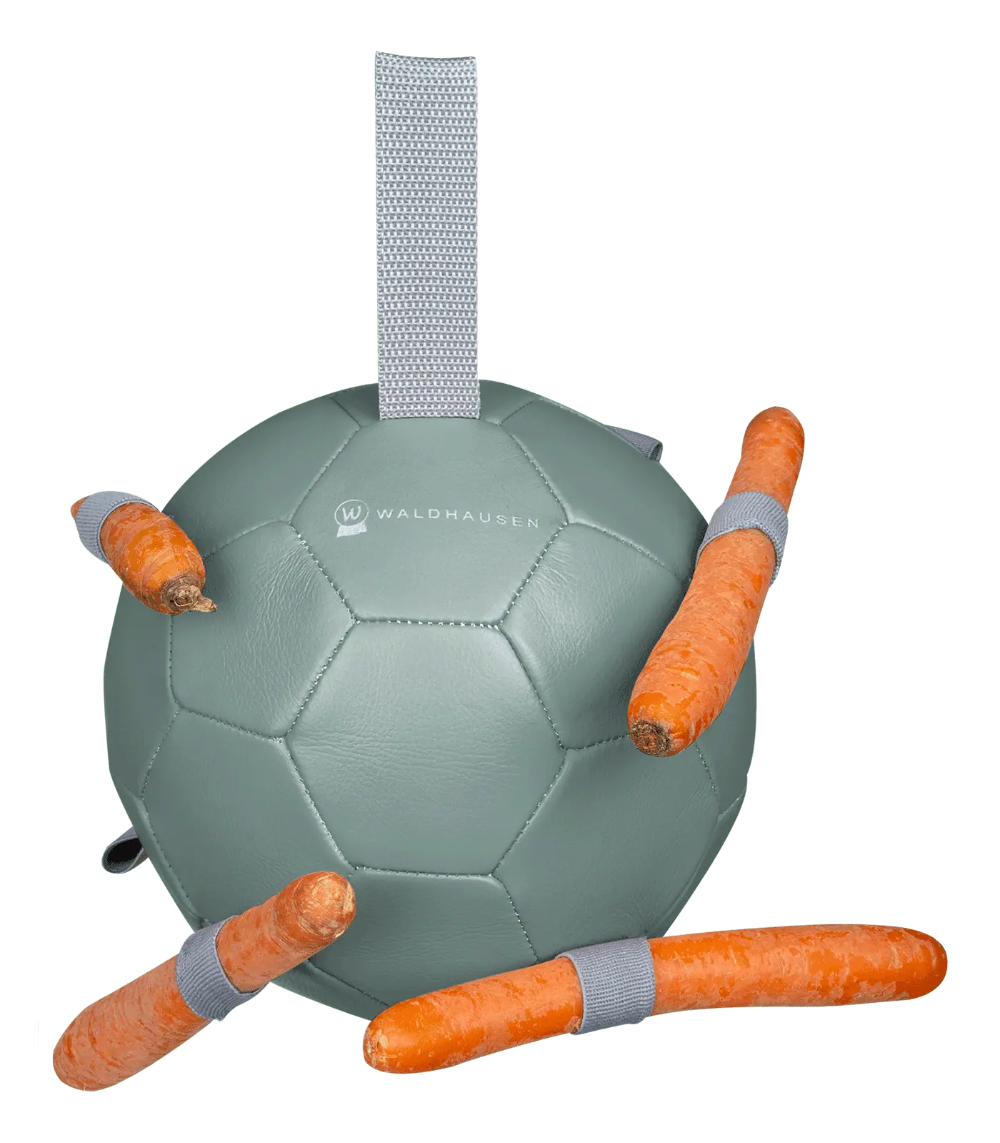 Balle à carottes Waldhausen, jouet pour cheval avec sangles, Ø 18 cm, mistel