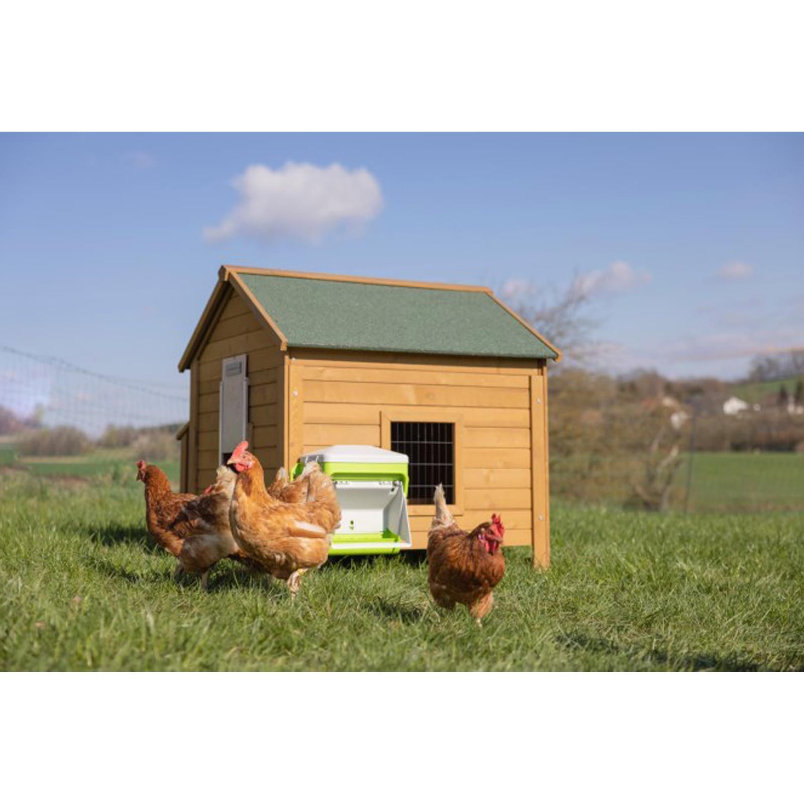 Kerbl SmartCoop Automatic Chicken Feeder, 7.5 kg