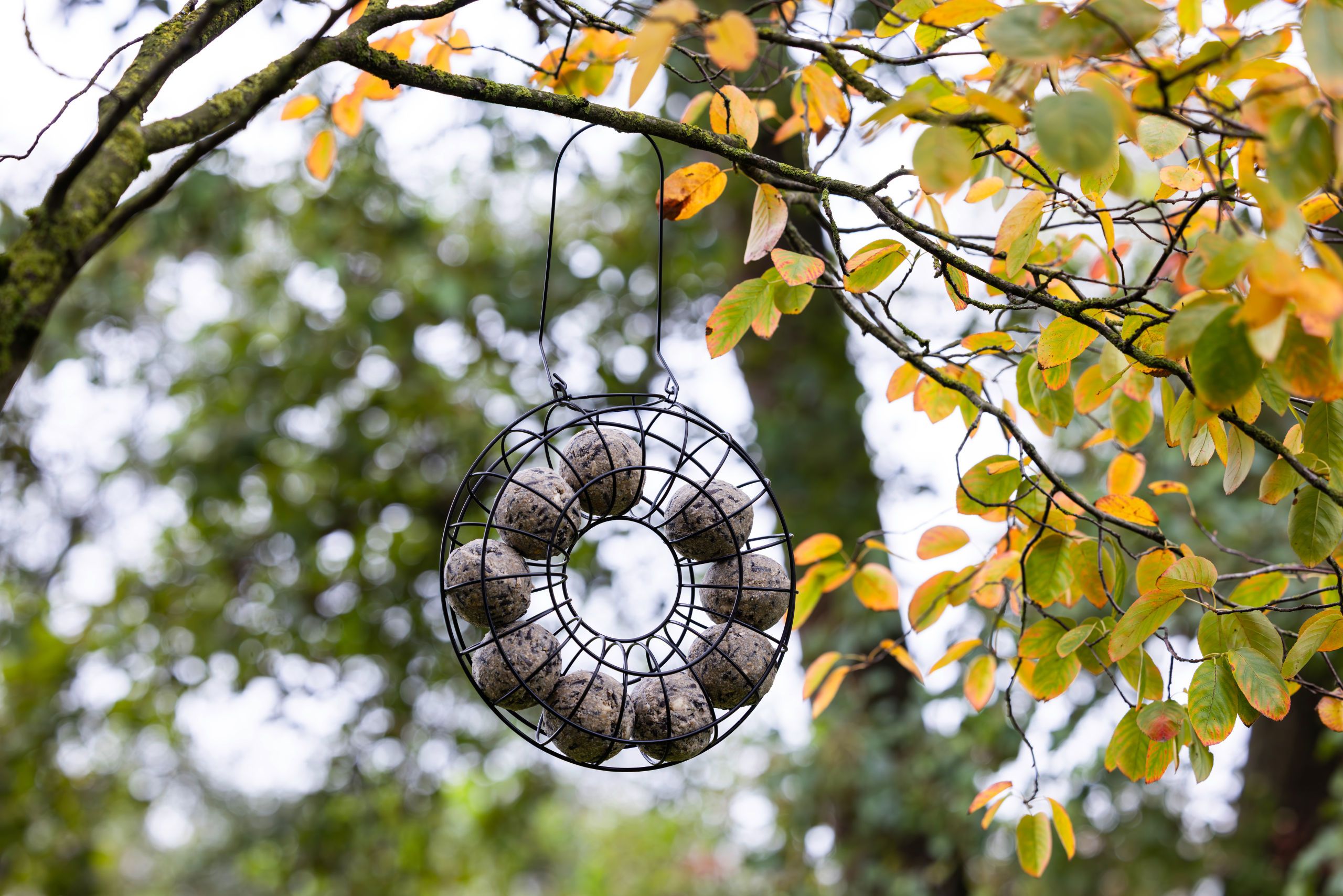 garden, hanging, stone balls, wire frame, decorative
