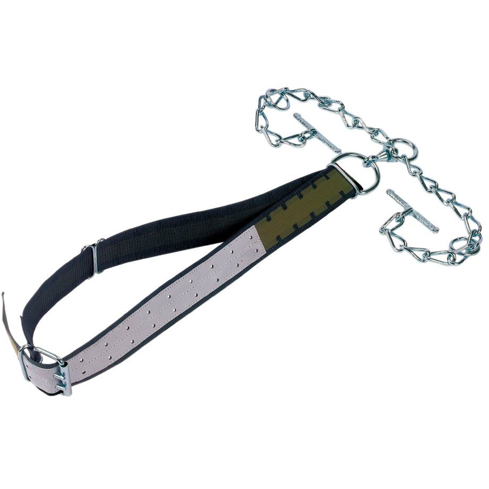 Bull tether with collar, D-ring, toggle 170 x 7 cm