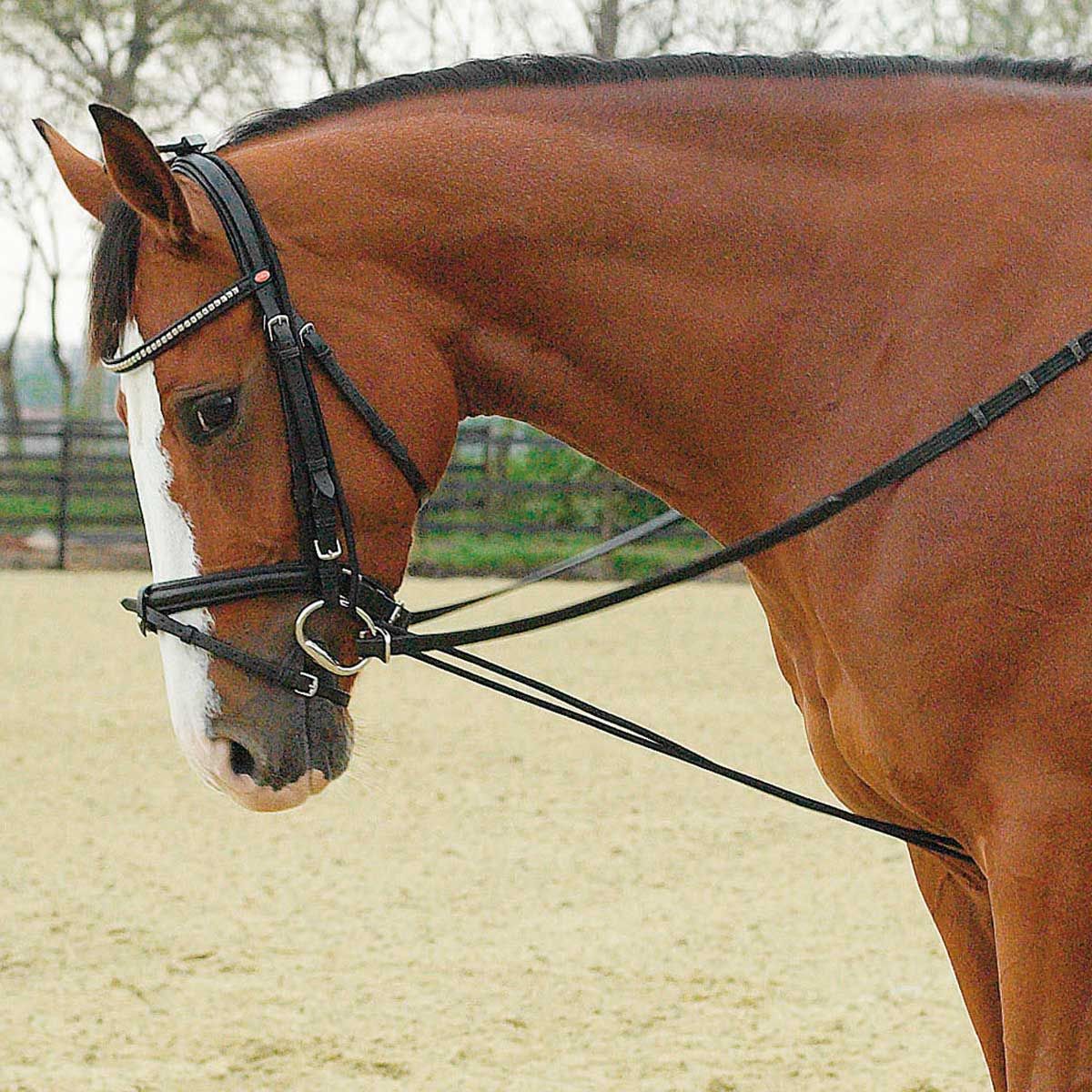BUSSE Prolungamento per collo cavalli GUMMI