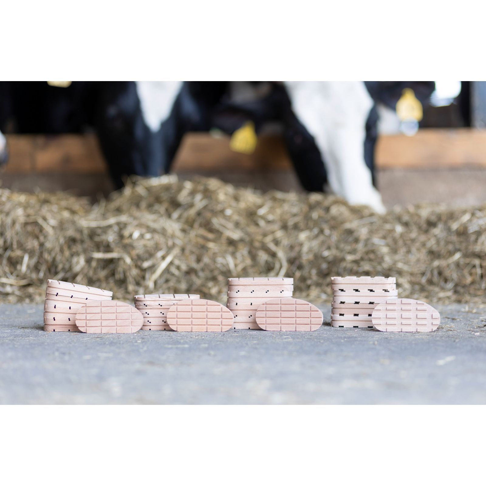 Kerbl cale en bois Standard pour le parage des onglons, Normal 112 mm, 10 pièces