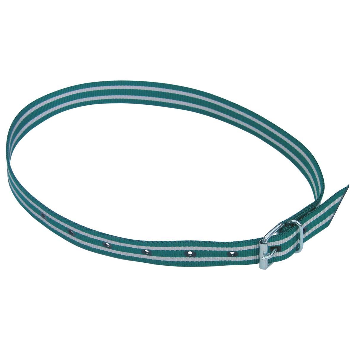 Collier de marquage Kerbl pour bovins avec boucle à rouleau, 135 cm vert/blanc