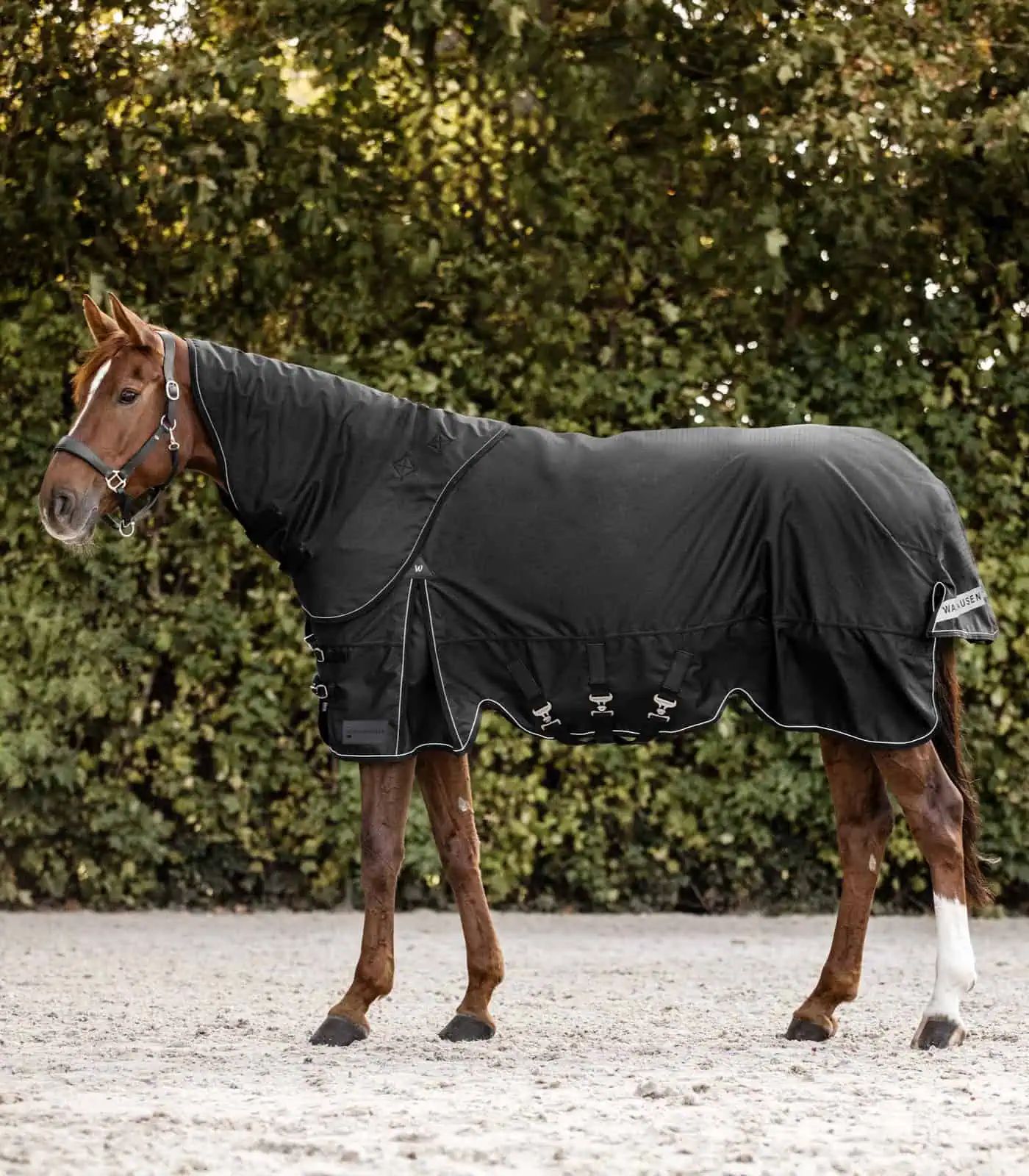 Waldhausen Couvre-cou d'extérieur SCANDIC, Light – imperméable et respirant, noir WB