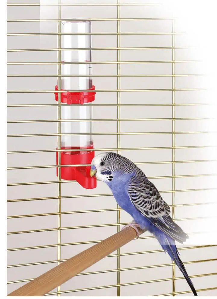 Kerbl Pet madáritató ketrechez, 15 cm, 65 ml, felfüggeszthető tartóval, használat közben