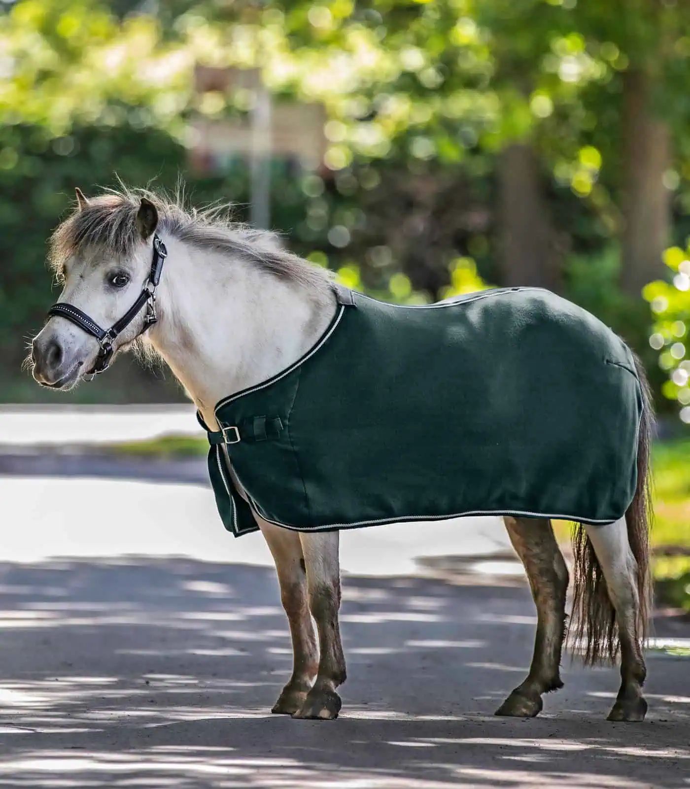 Chemise polaire Waldhausen ECONOMIC pour chevaux, vert sapin, Fir vert, 145