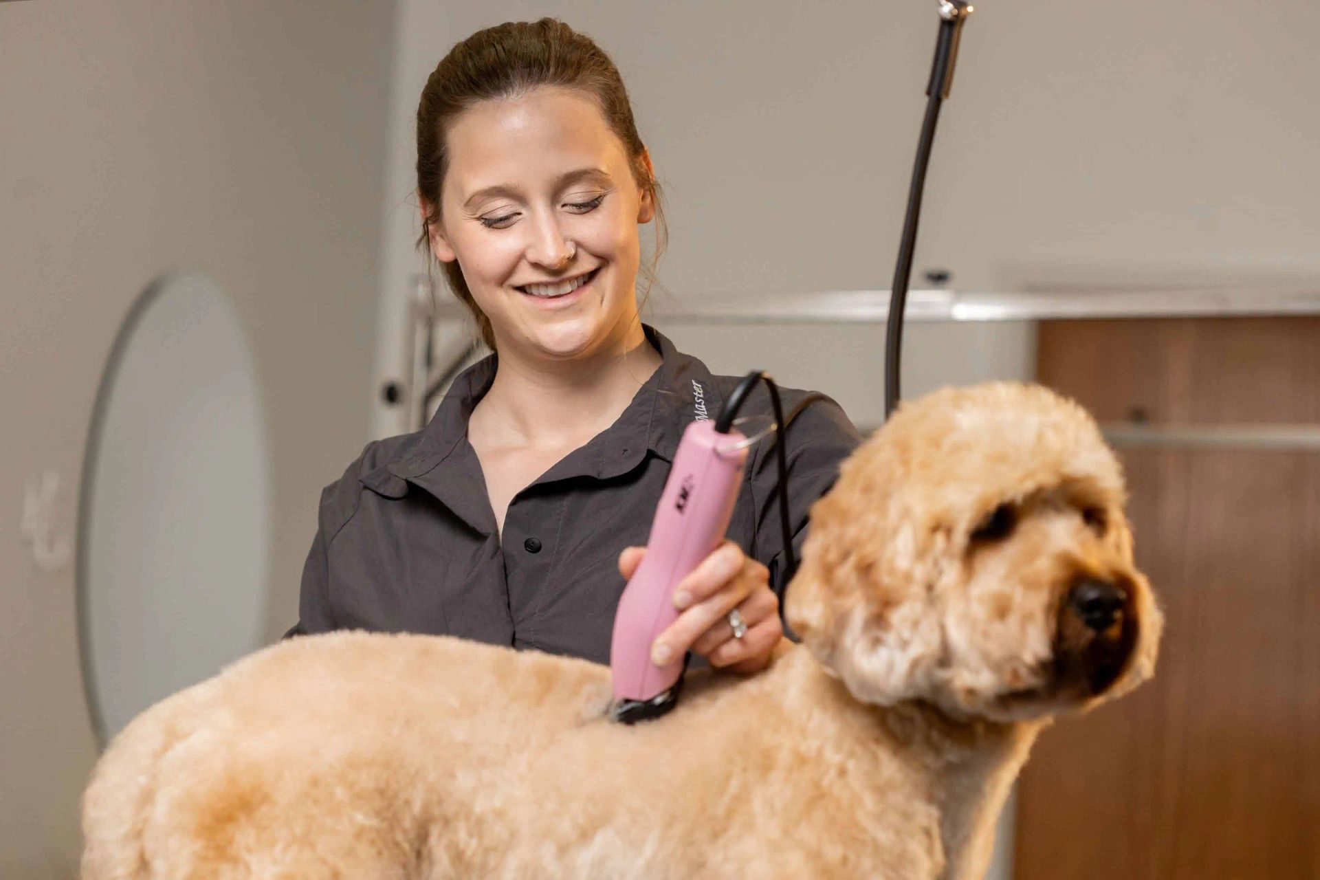 Lächelnde Frau schert Fell eines hellen Hundes mit rosa Schermaschine