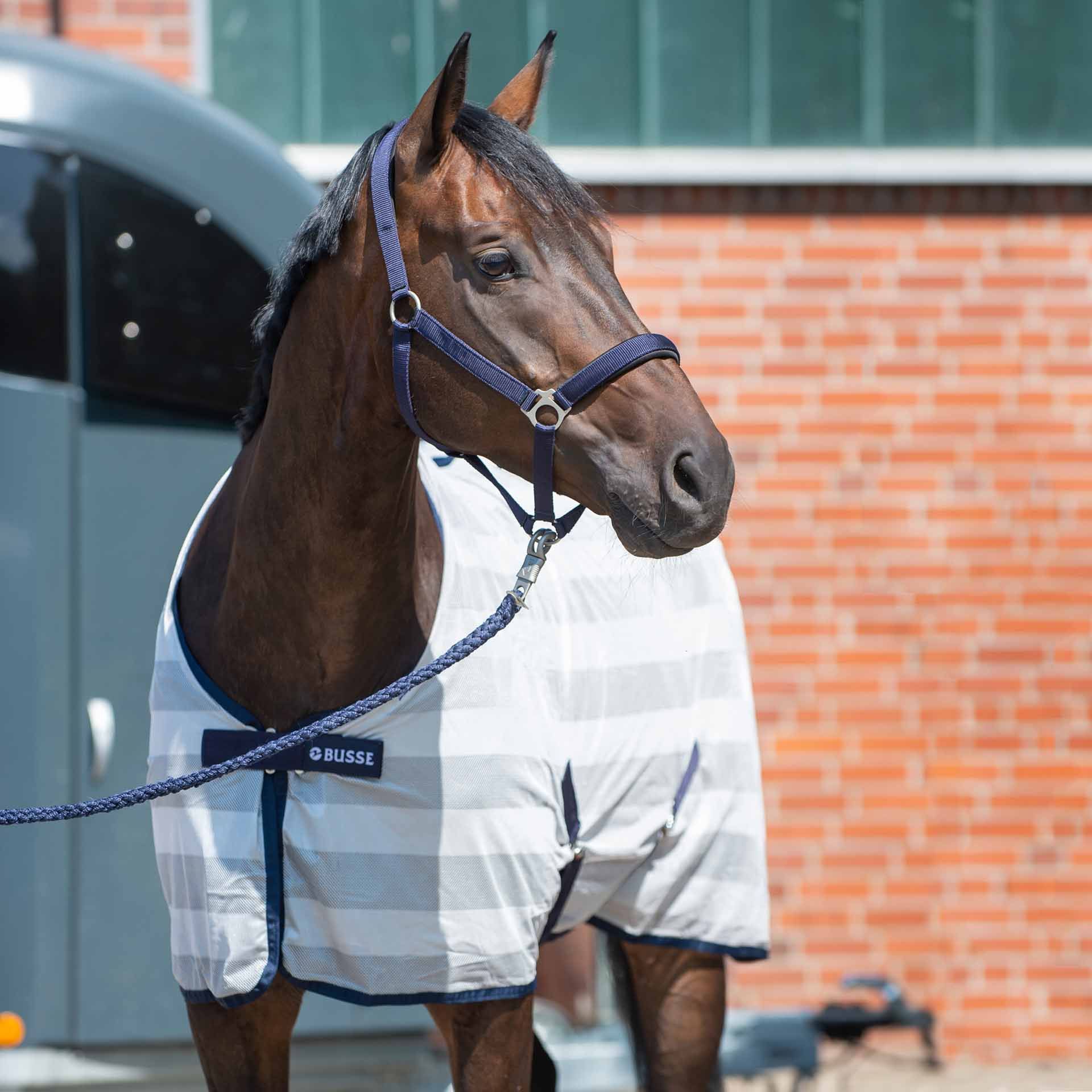 BUSSE Transport-Fliegendecke STRIPE, schmutzabweisend, Stallgasse, im Einsatz, im Stall