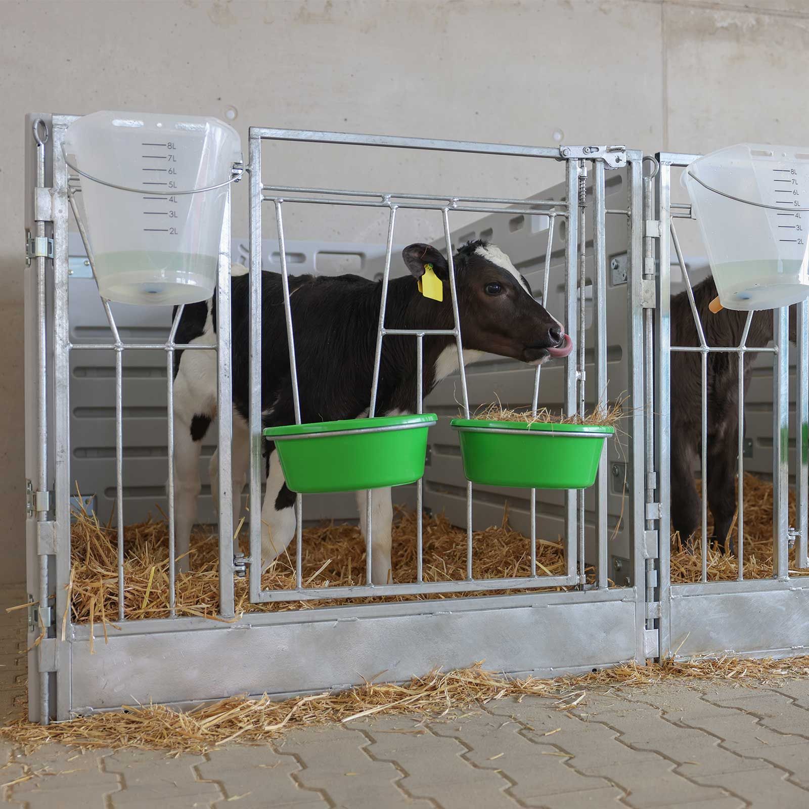 Kerbl Modulare Kälberbox Doppelbucht freistehend, 1,8 qm