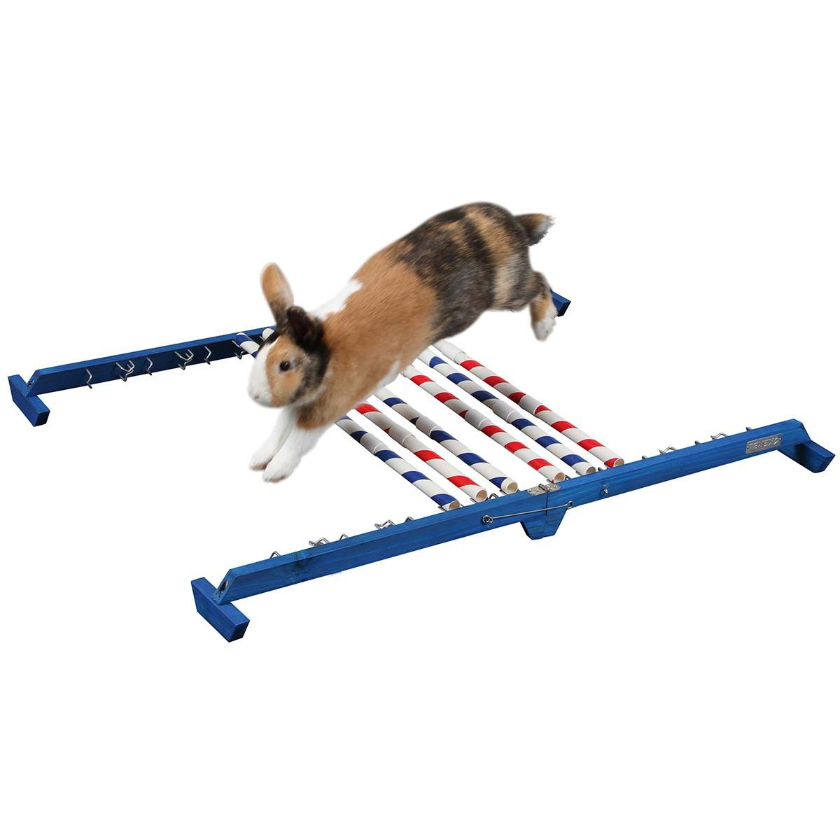 Kerbl Agility Kombisprung für Kaninchen & Nager, Höhe 53 cm, im Einsatz
