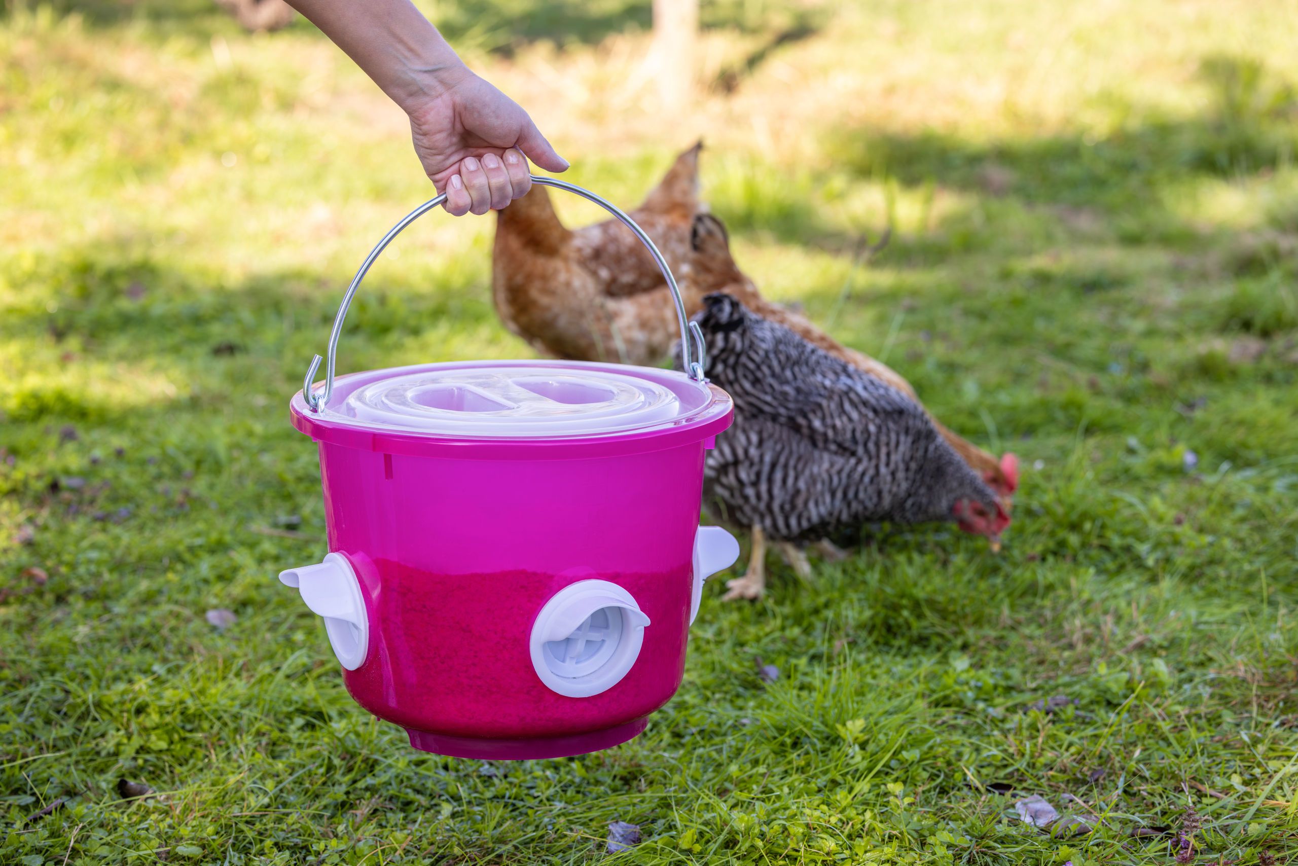 pink bucket, plastic bucket, chicken coop, field, garden