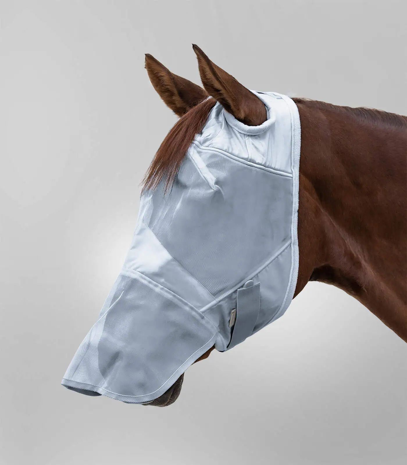 Waldhausen Masque Anti-Mouches Premium sans Oreilles avec Protection Nasale, en utilisation