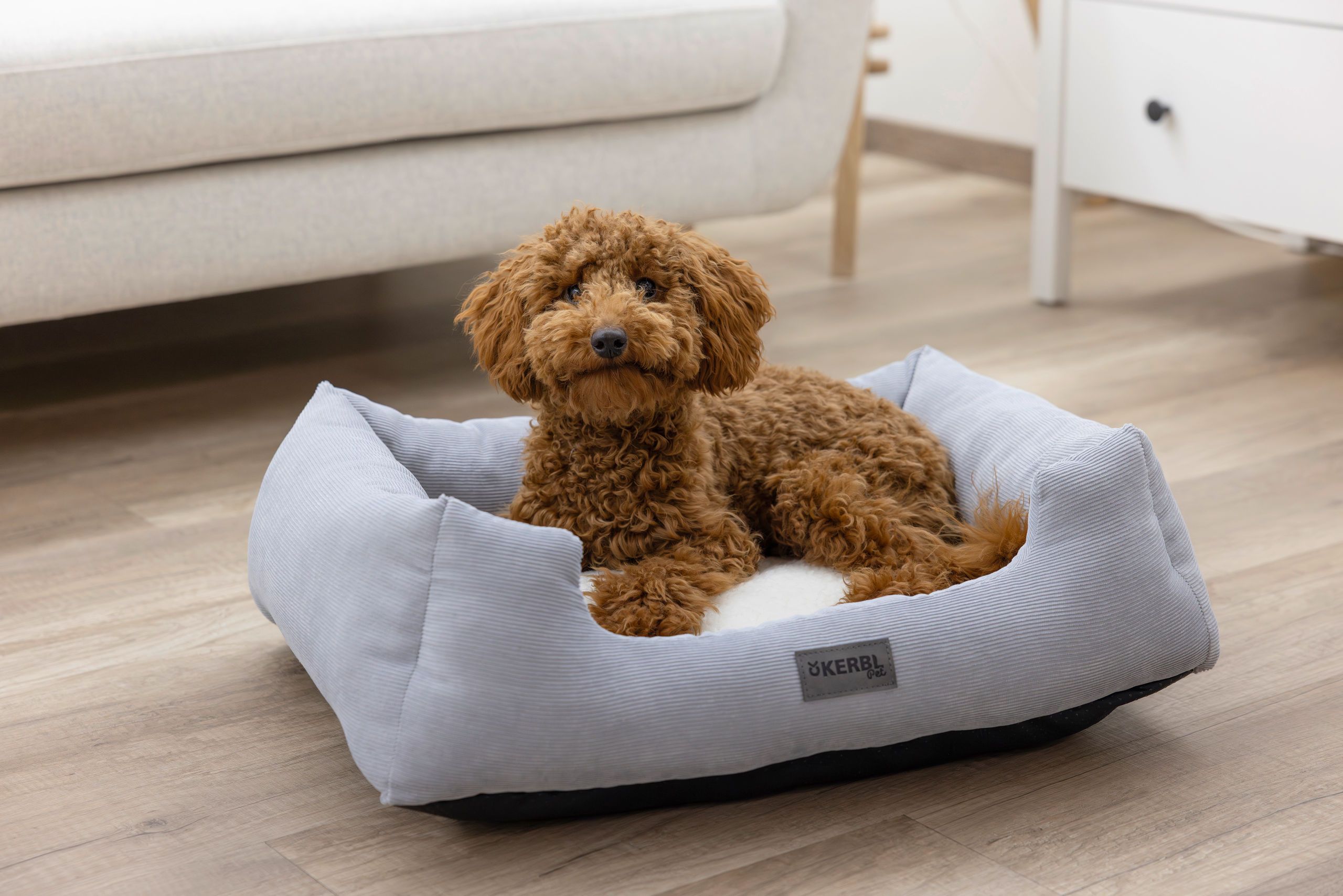 Kerbl Kuschelbett Zoe, Hundebett mit Rand, waschbar, grau-weiß, im Einsatz