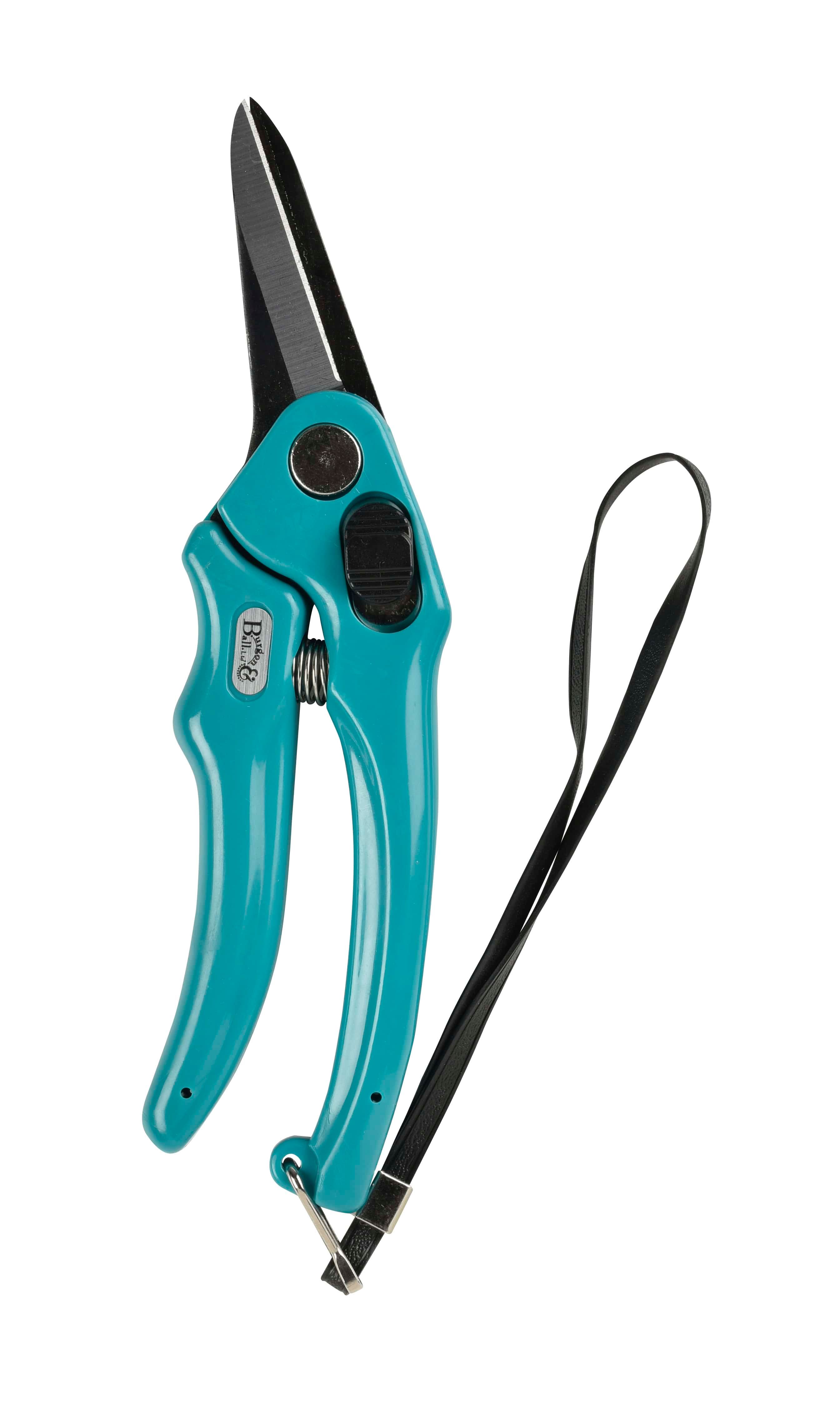 Footrot Shears Sheep/Goats