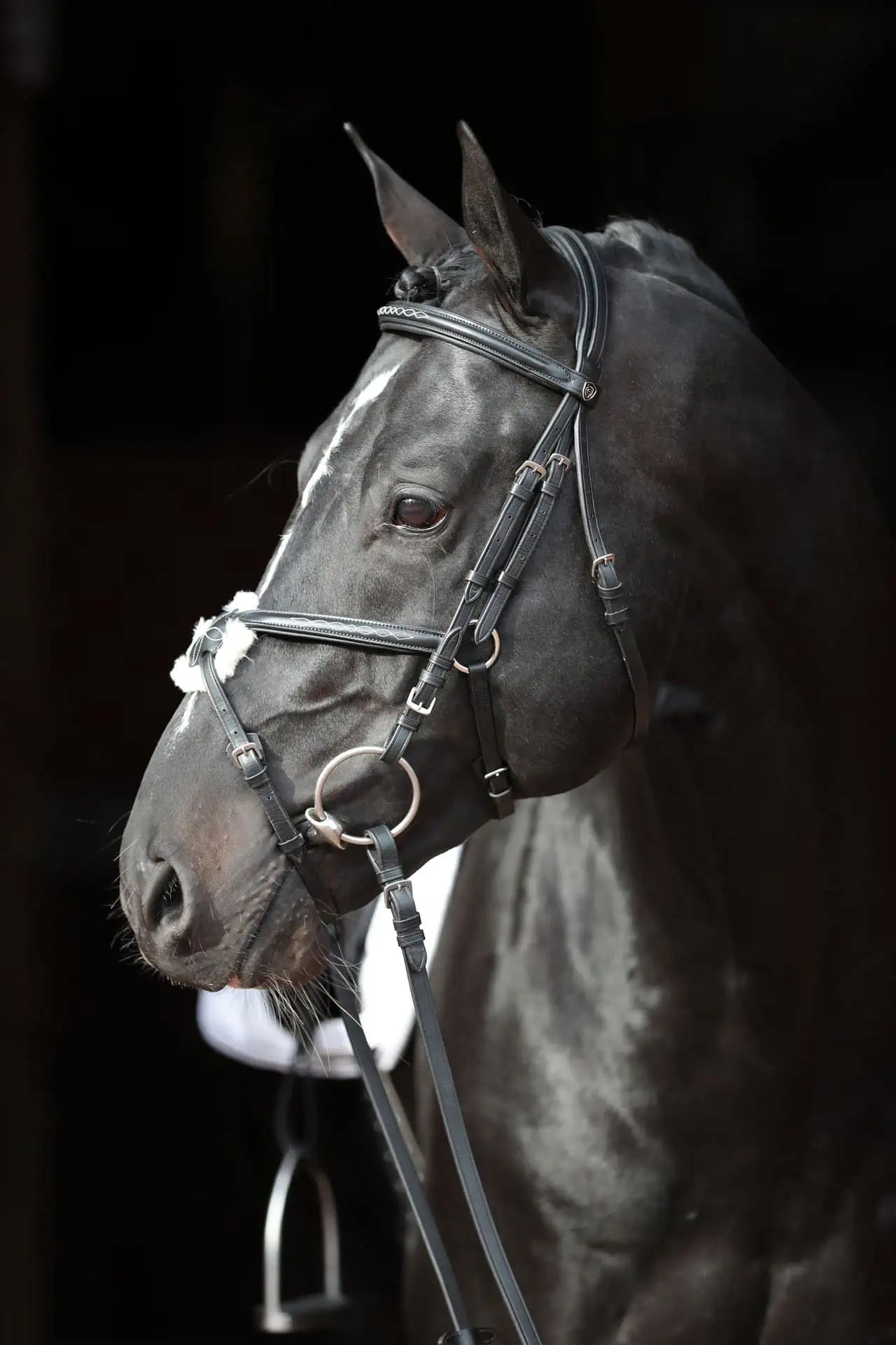 Bridon Cancun Covalliero, muserolle mexicaine, cuir noir, Pony