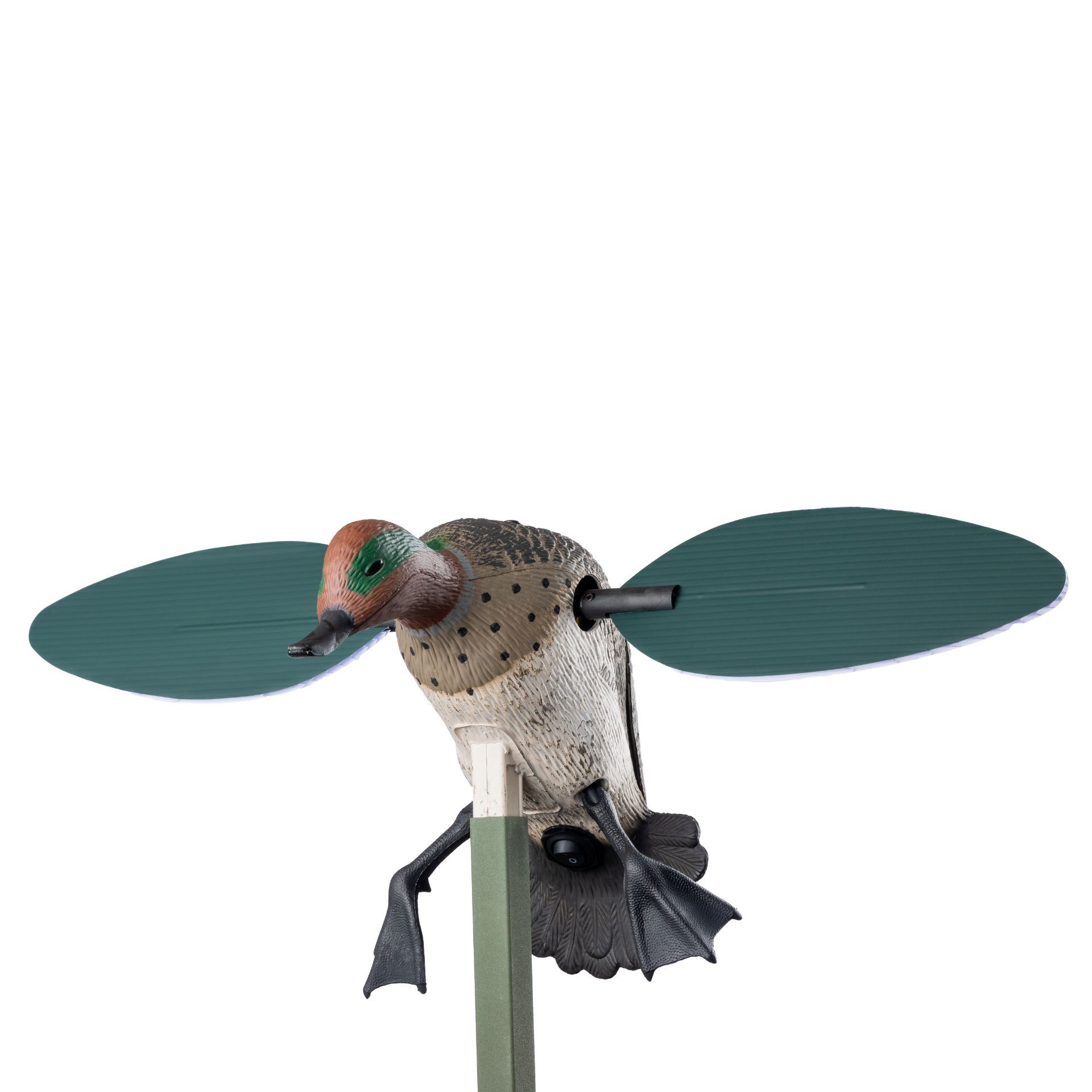 Mojo Teal, Crick Duck duck decoy