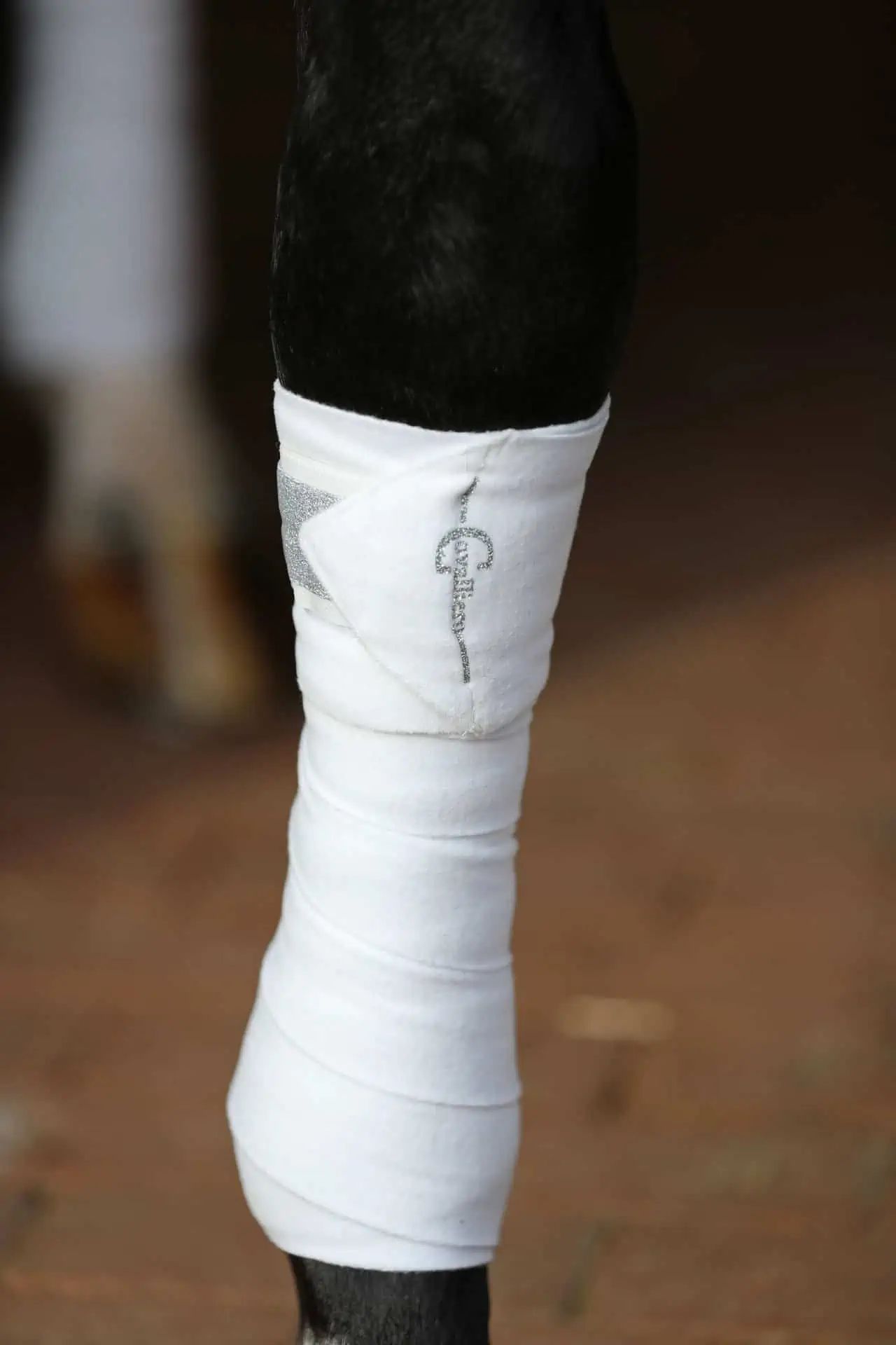 Covalliero Fleece-Bandage Empara, 4 Stück Pferdebandagen