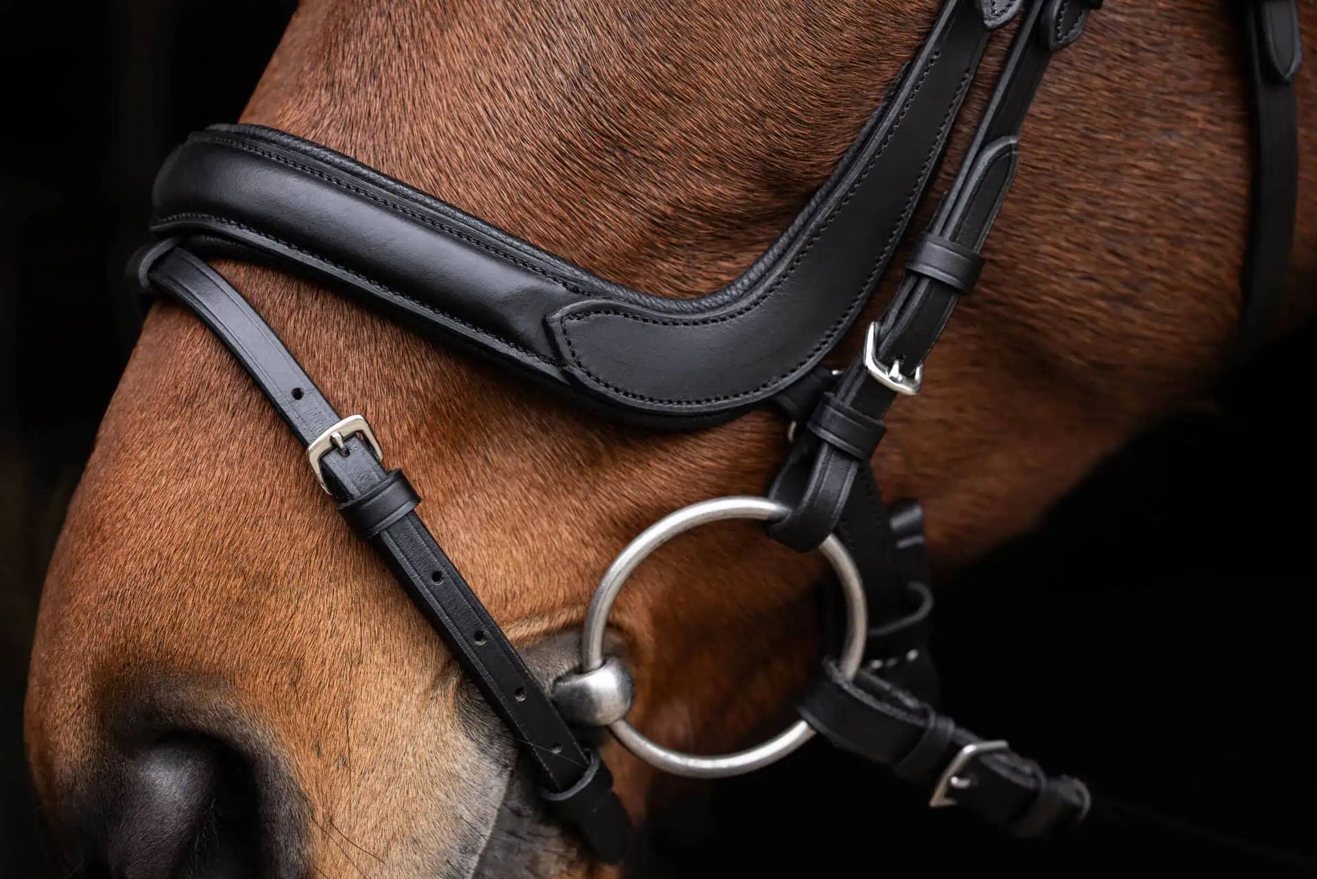 Covalliero Träns Anatomic svart, bettlöst träns i läder, detaljbild