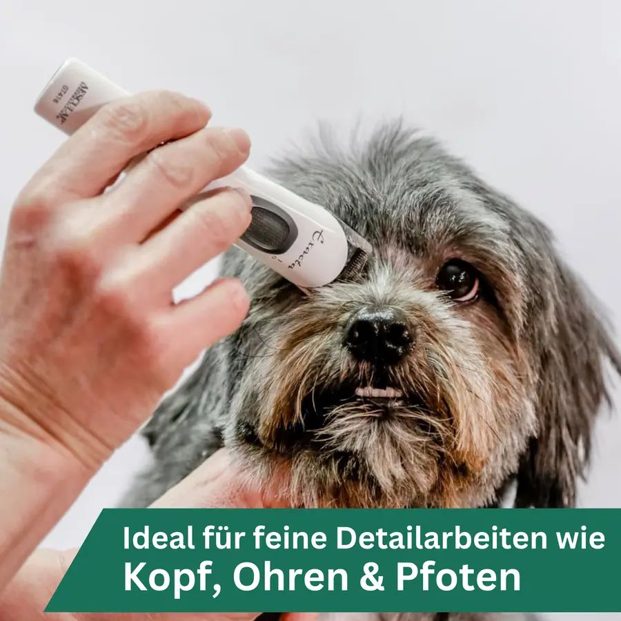 Aesculap Exacta Akku-Schermaschine weiß mit Ersatz-Scherkopf, 0,5 mm, im Einsatz, in der Hand