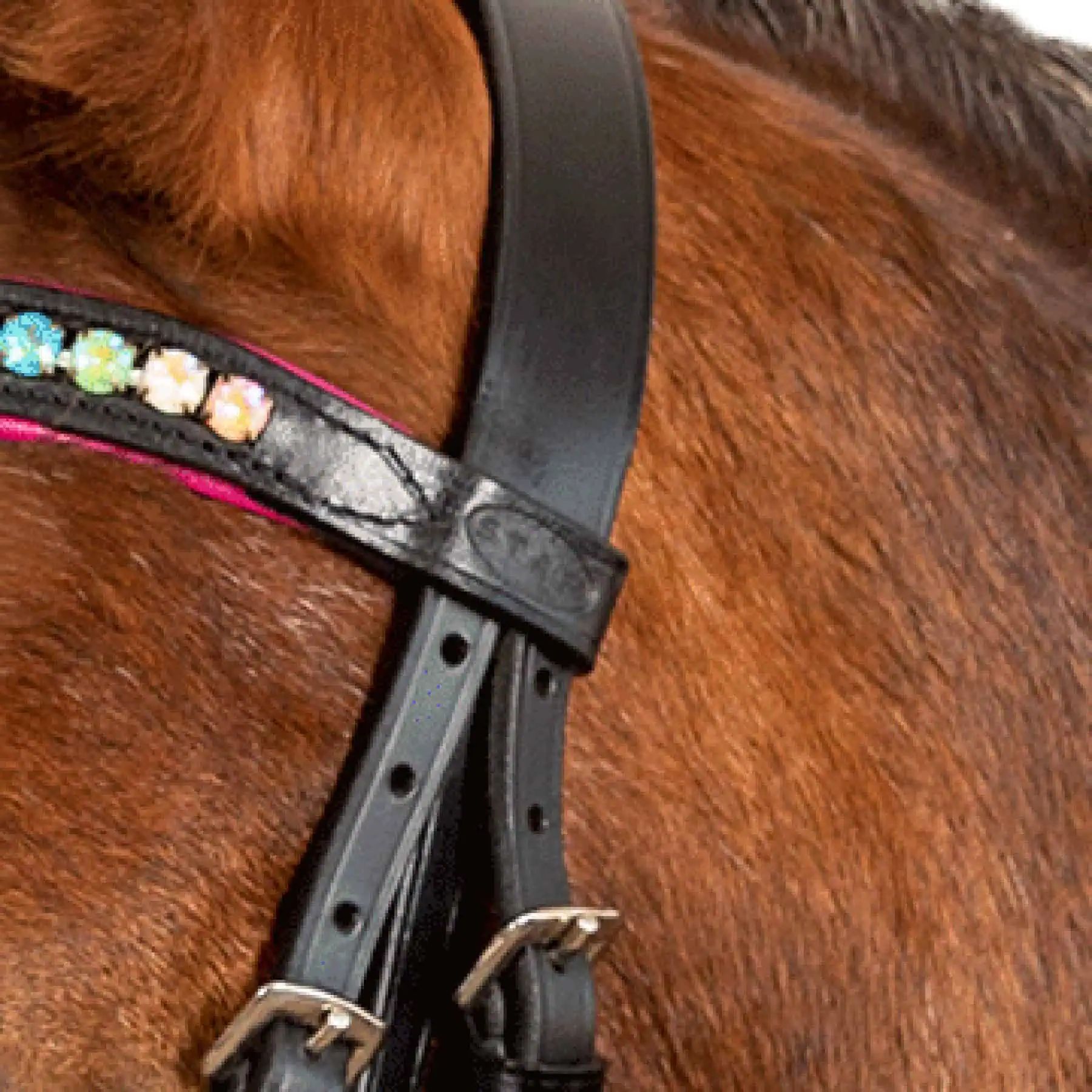 STAR Bridon Pinky, Muserolle combinée pour Poney & Shetland, Pony