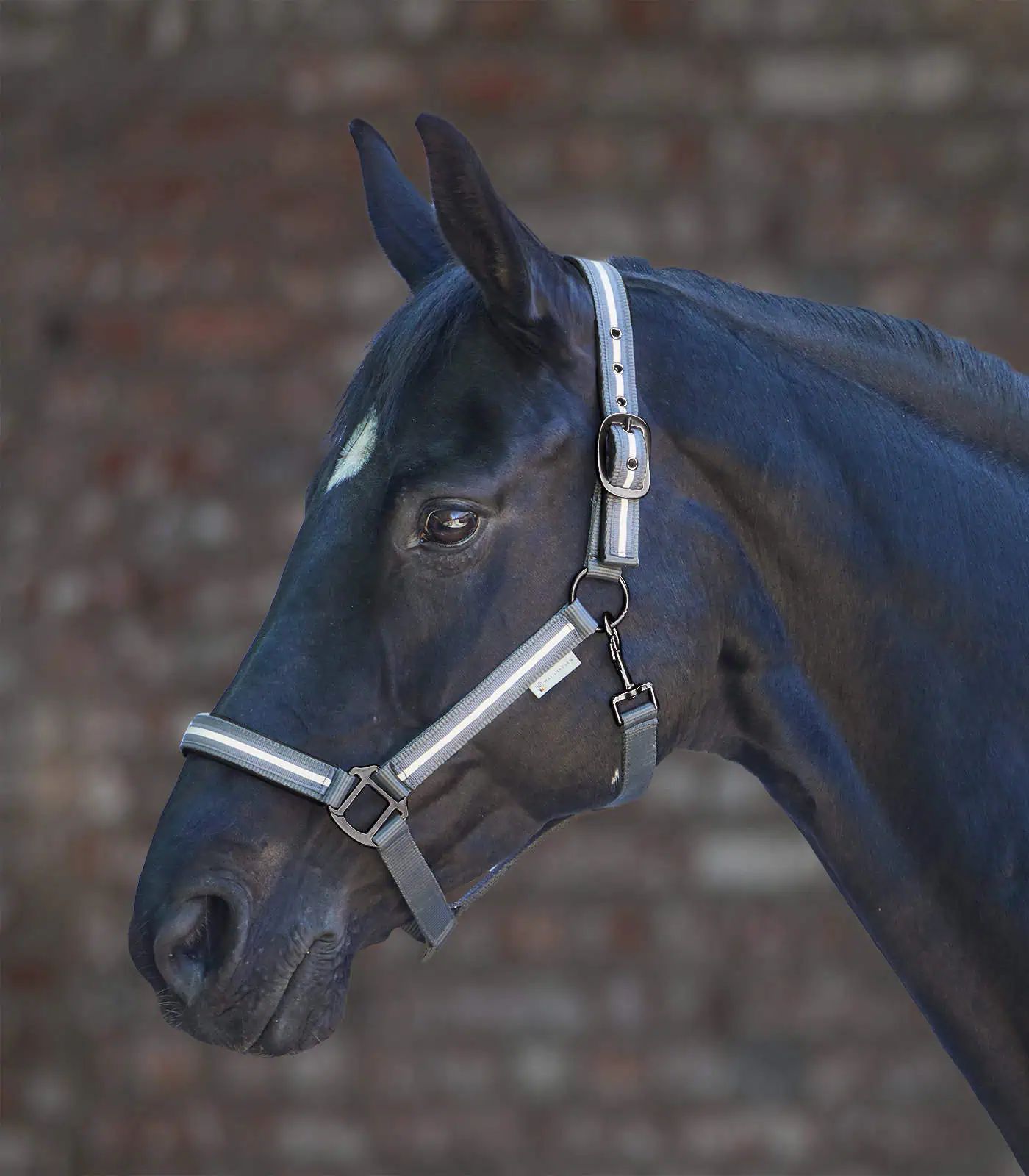 Waldhausen Halfter Reflex Stripe, grau, Pony