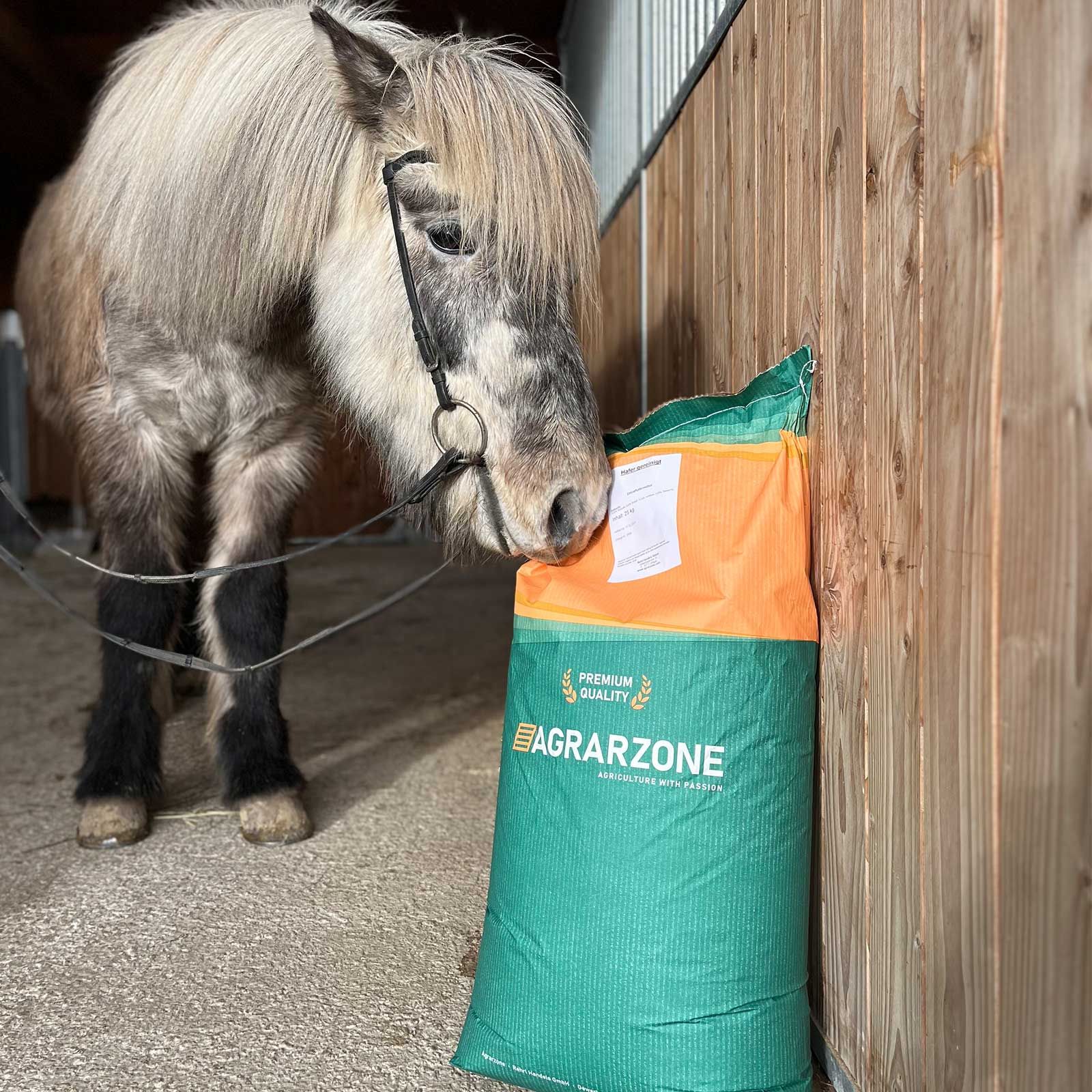 Agrarzone Avena per cavalli depolverata 20 Kg, in uso, in scuderia