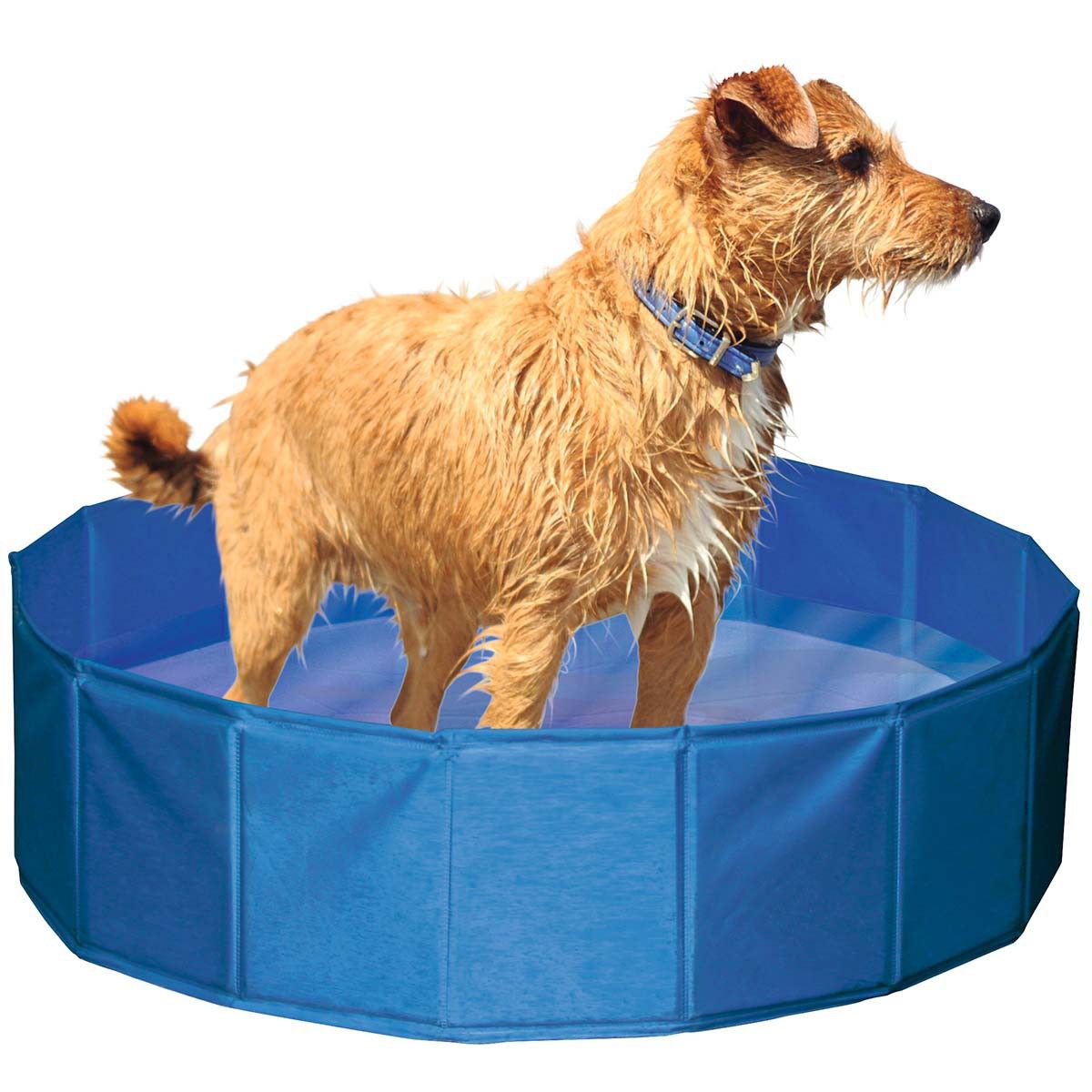 Kerbl Piscine pour chiens 80 cm