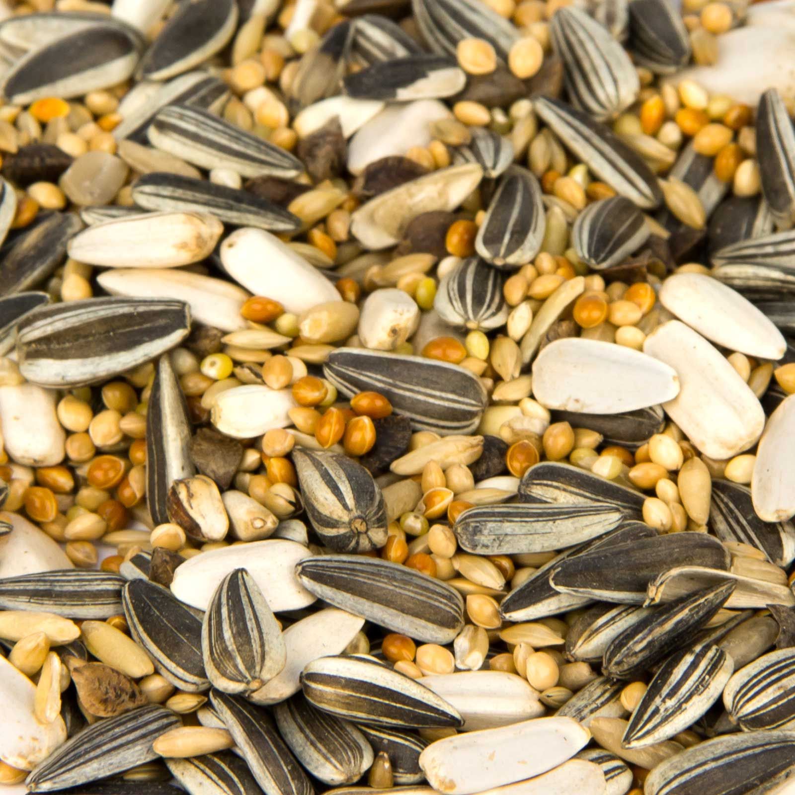 Leimüller Premium Mangime per parrocchetti con cereali e semi, dettaglio