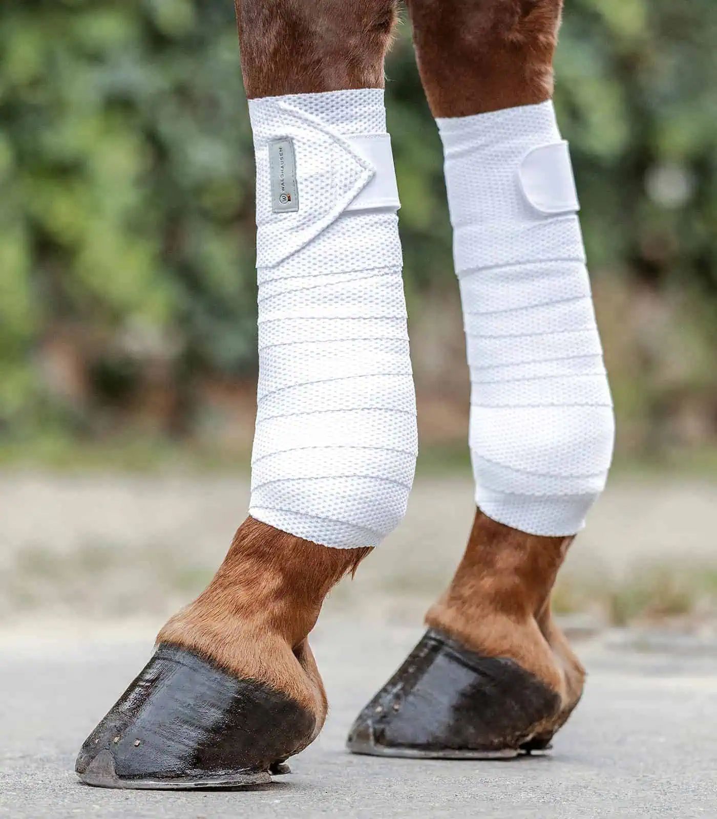 Waldhausen Bandes Breath, Lot de 4, Mesh Respirant, blanc