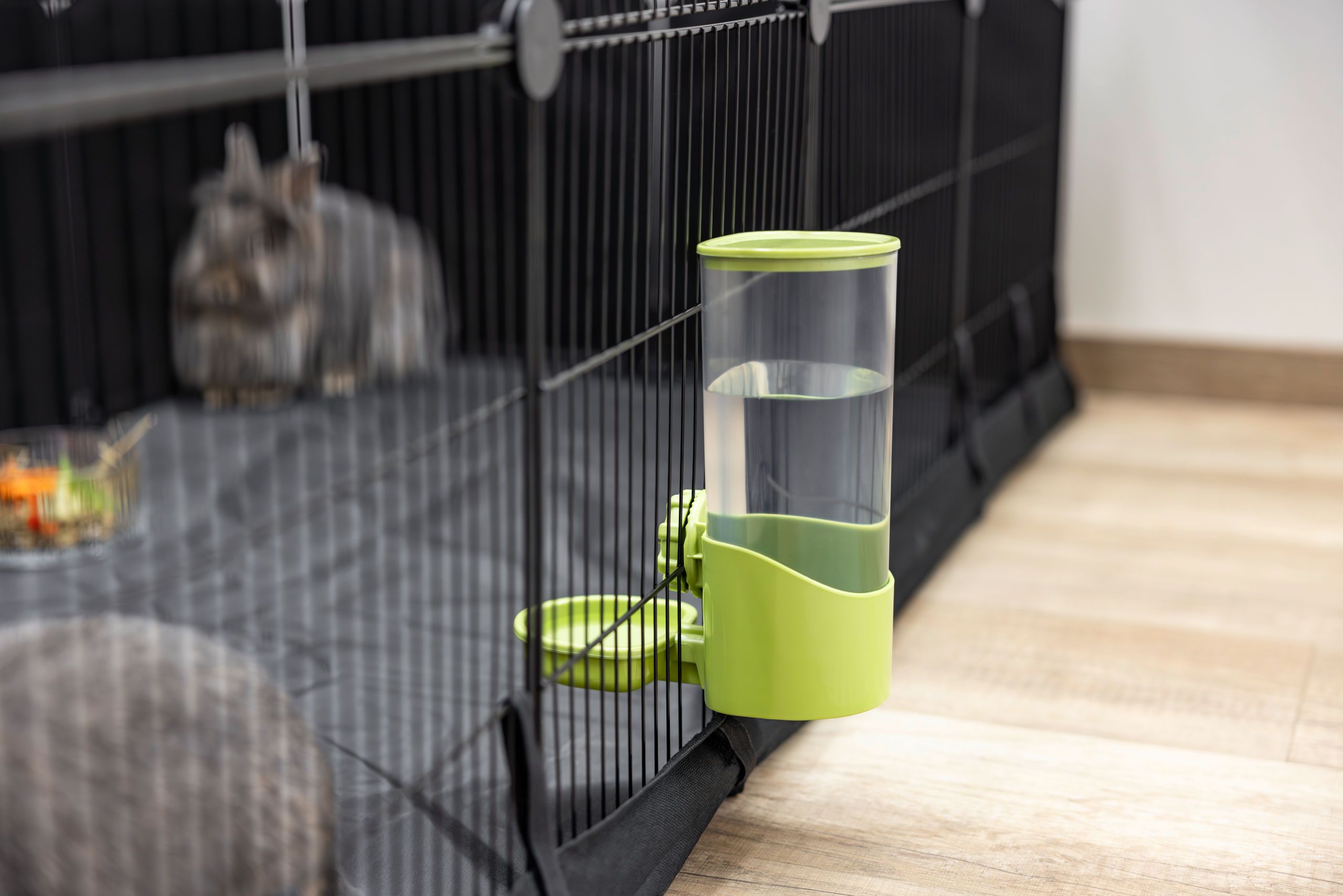 cage, pet, water dispenser, green, transparent container
