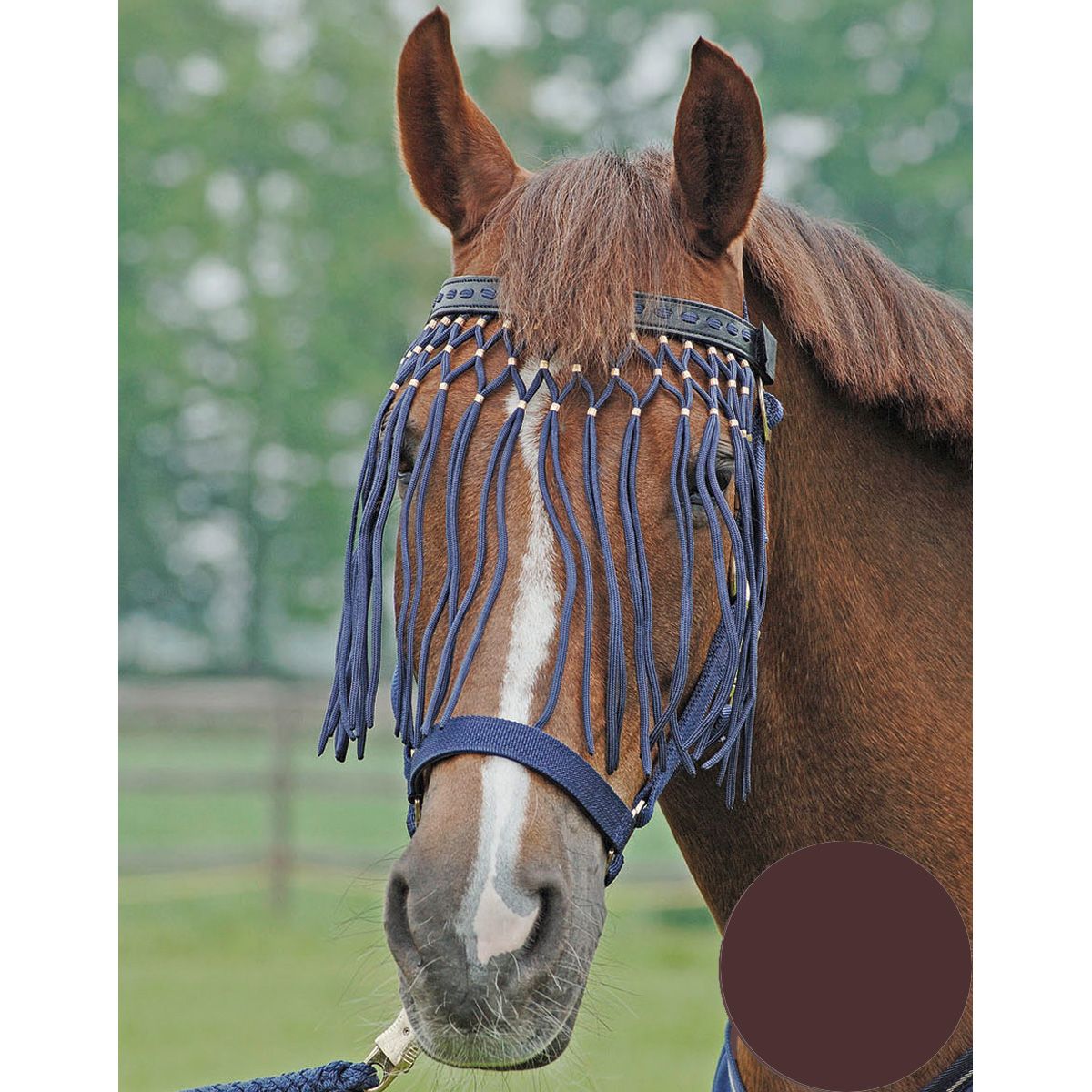 BUSSE Frontal à franges anti-mouches EXCLUSIF, cuir et franges nylon, marron Full