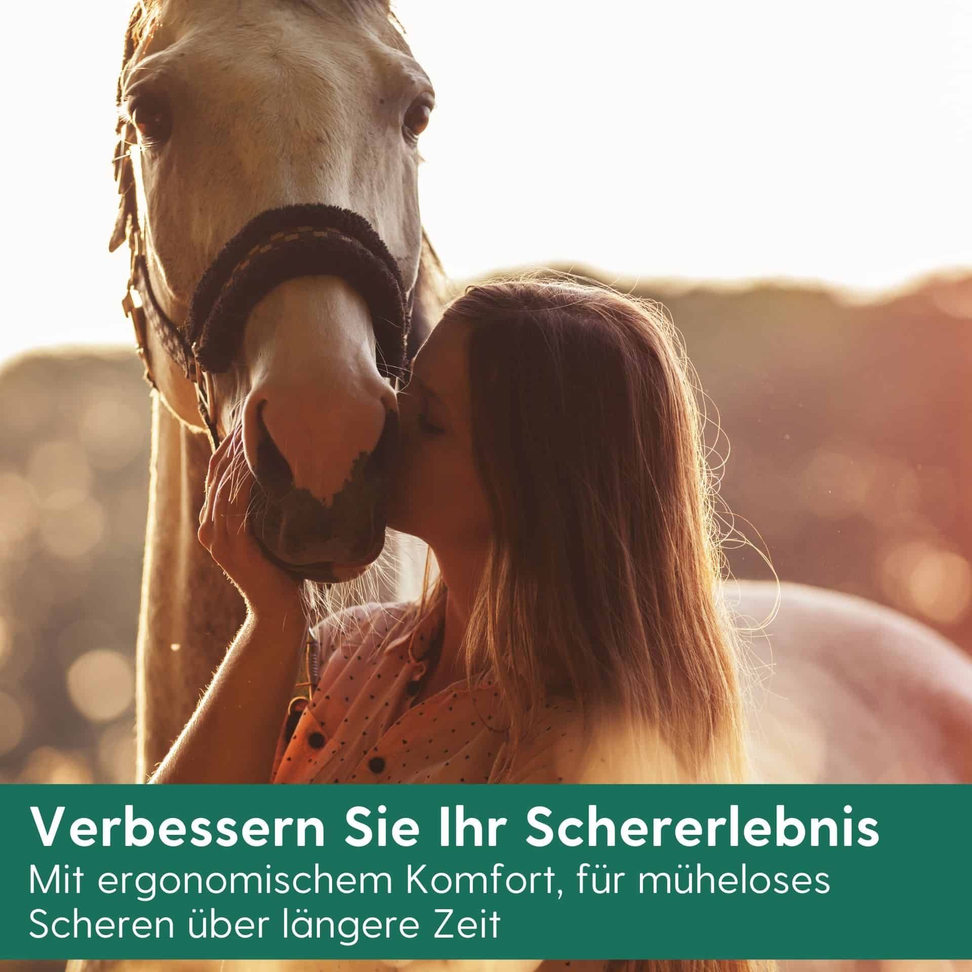 Tondeuse Aesculap Bonum sans fil cheval bleue, avec aide TORQUI, image d'illustration