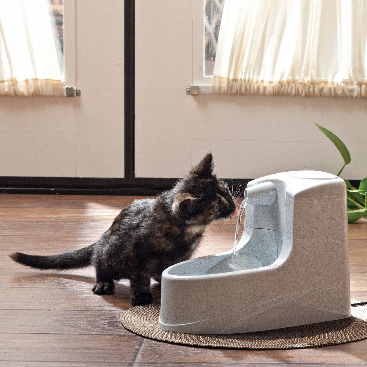 PetSafe Trinkbrunnen Drinkwell Mini für Katzen & kleine Hunde, 1,2 L, im Einsatz