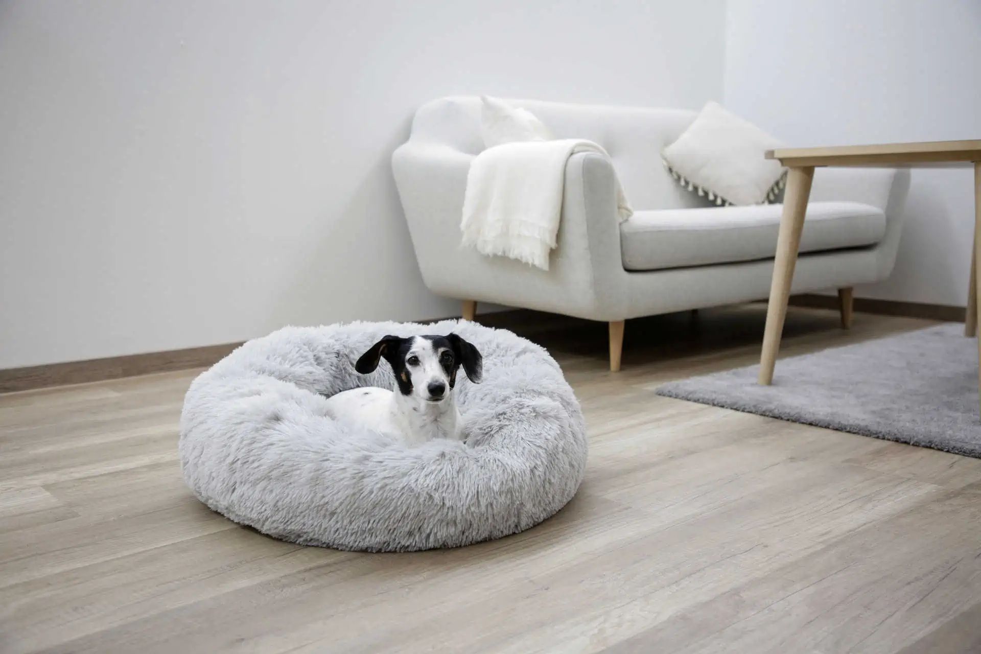Kerbl Gosig säng Fluffy för hund & katt, munkform, ljusgrå, i användning, inomhus