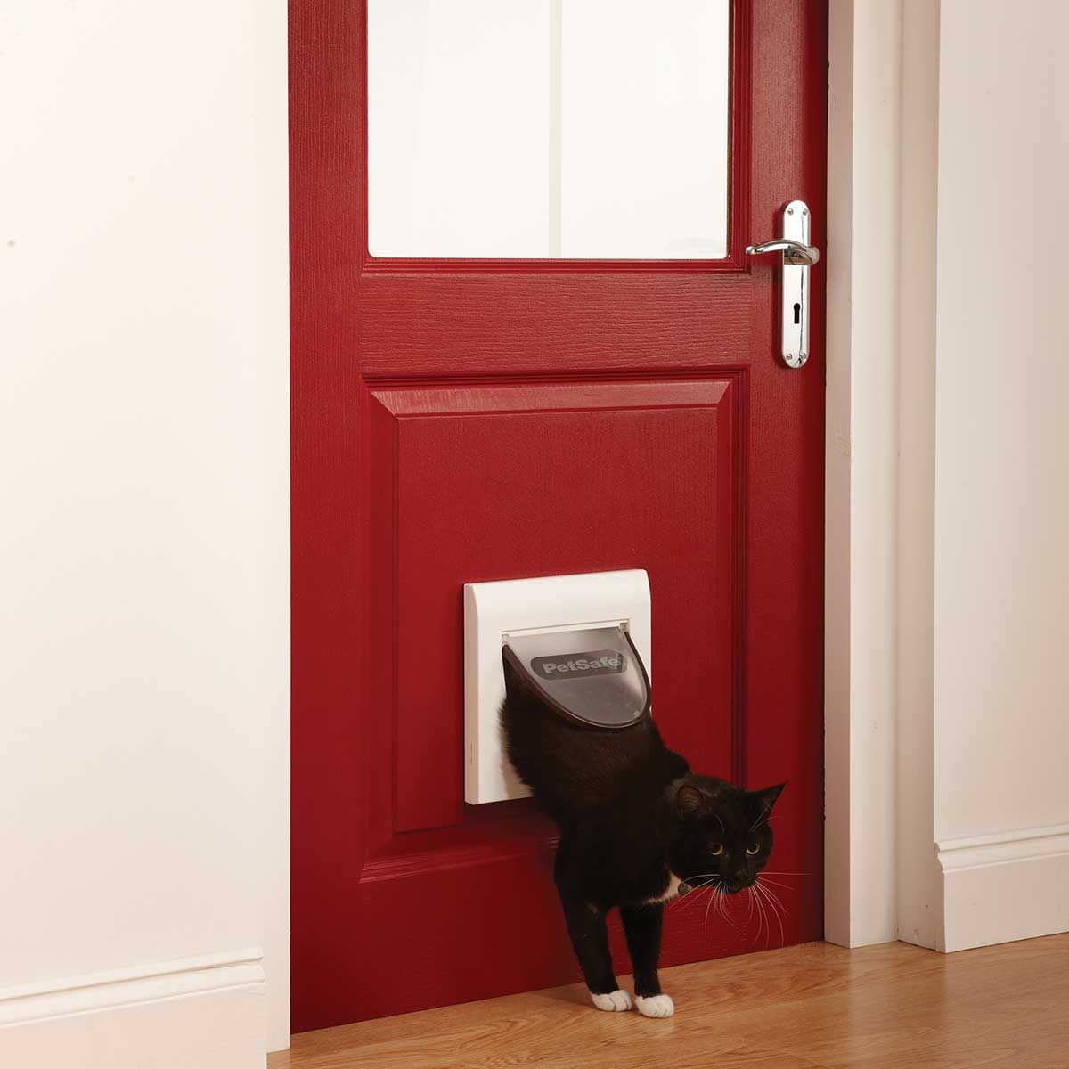 PetSafe Staywell 932 Katzenklappe magnetisch, 4-Wege-Verschluss, im Einsatz