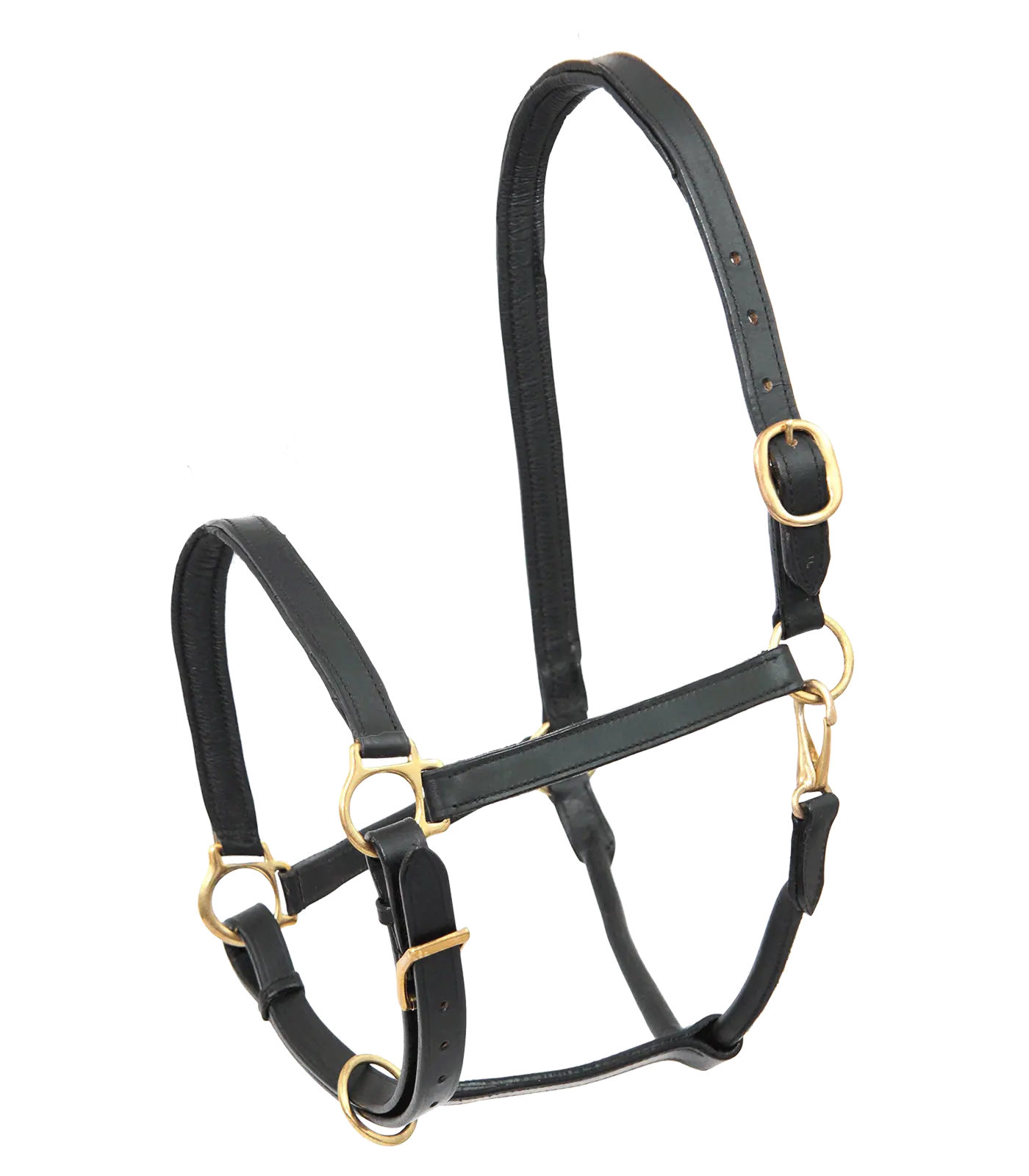 STAR Lederhalfter Robust, Pferd, schwarz, vermessingte Beschläge