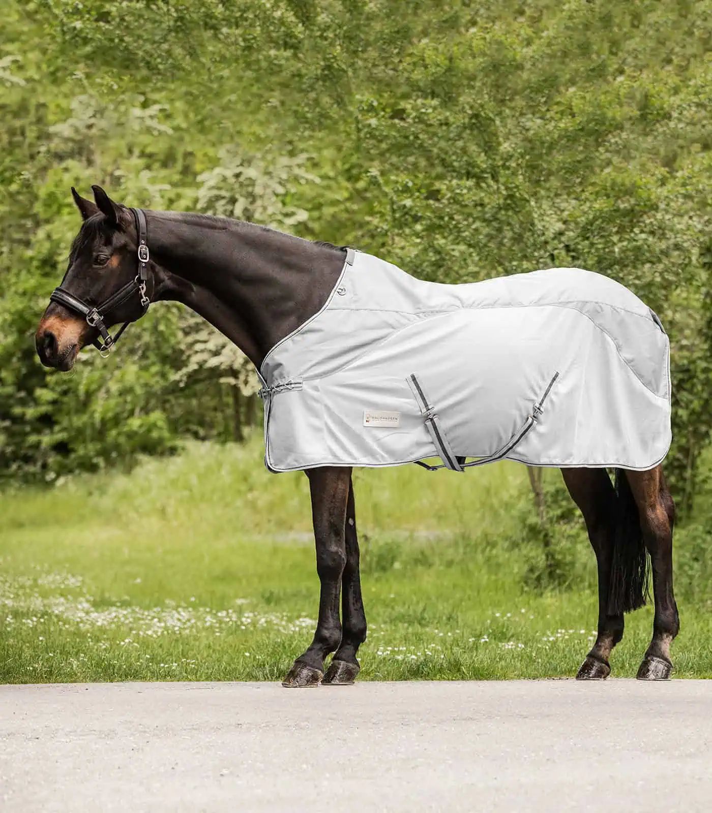 Waldhausen PROTECT Couverture Anti-Mouche Imperméable avec Insert Dorsal, gris argenté/gris 125 cm