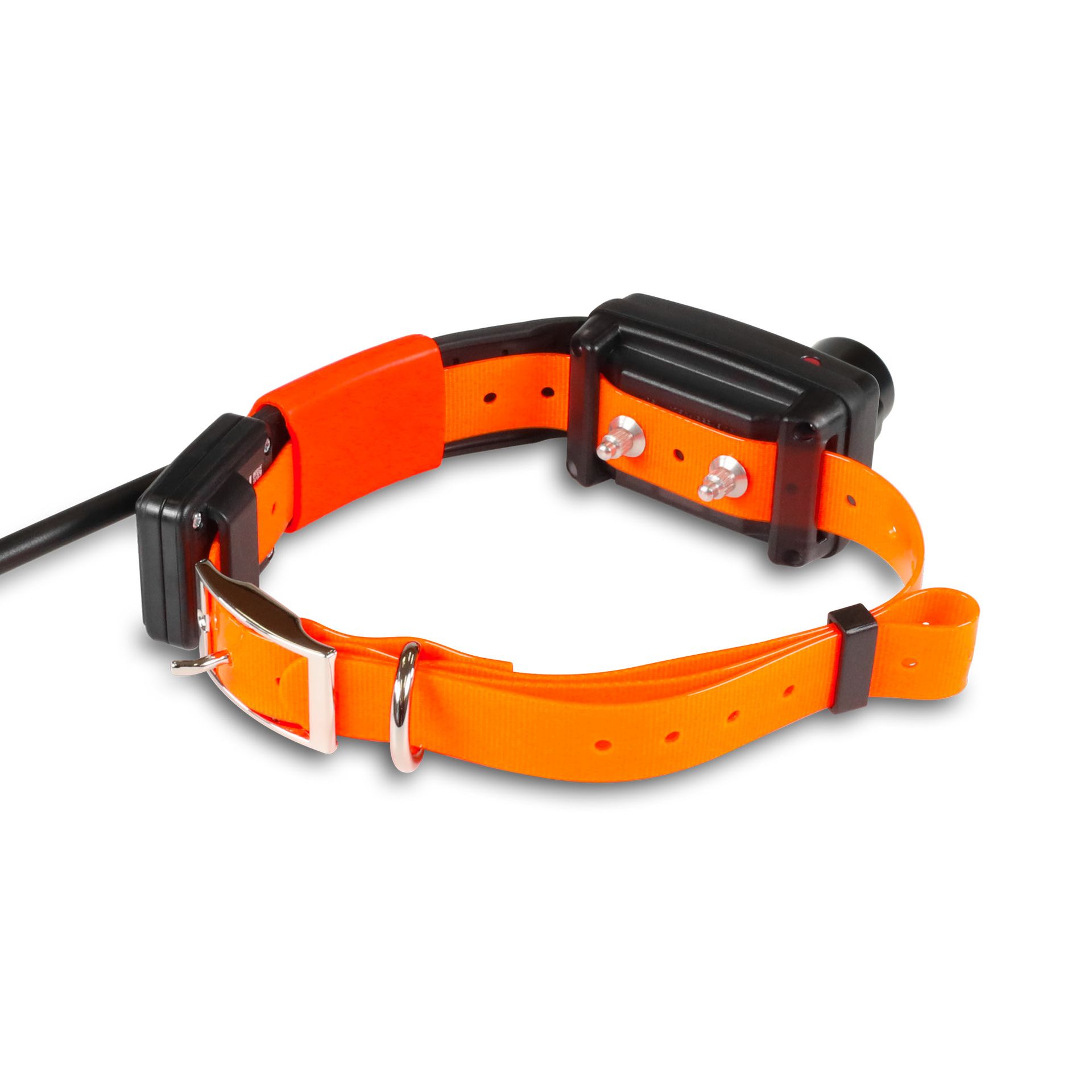 Dogtrace Zgardă GPS X30B Short, Funcție Aplicație, Beeper, Câini de Talie Mică, detaliu