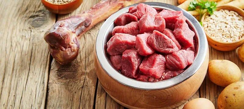 Aliments pour chiens à haute teneur en viande